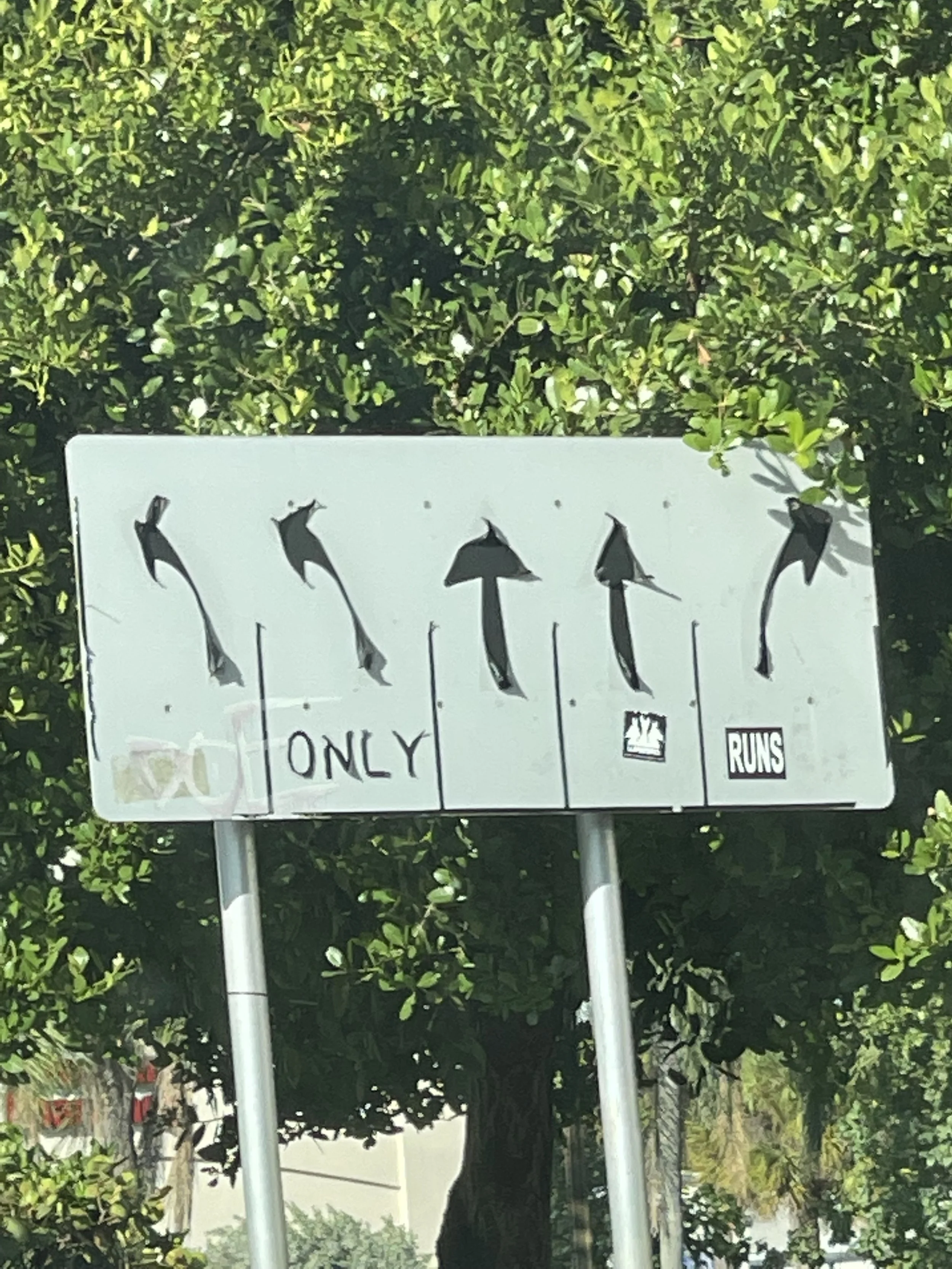 IMG_4399.jpeg