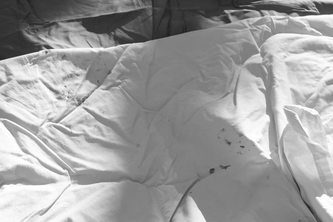 kaolin epk on blanket | 2023