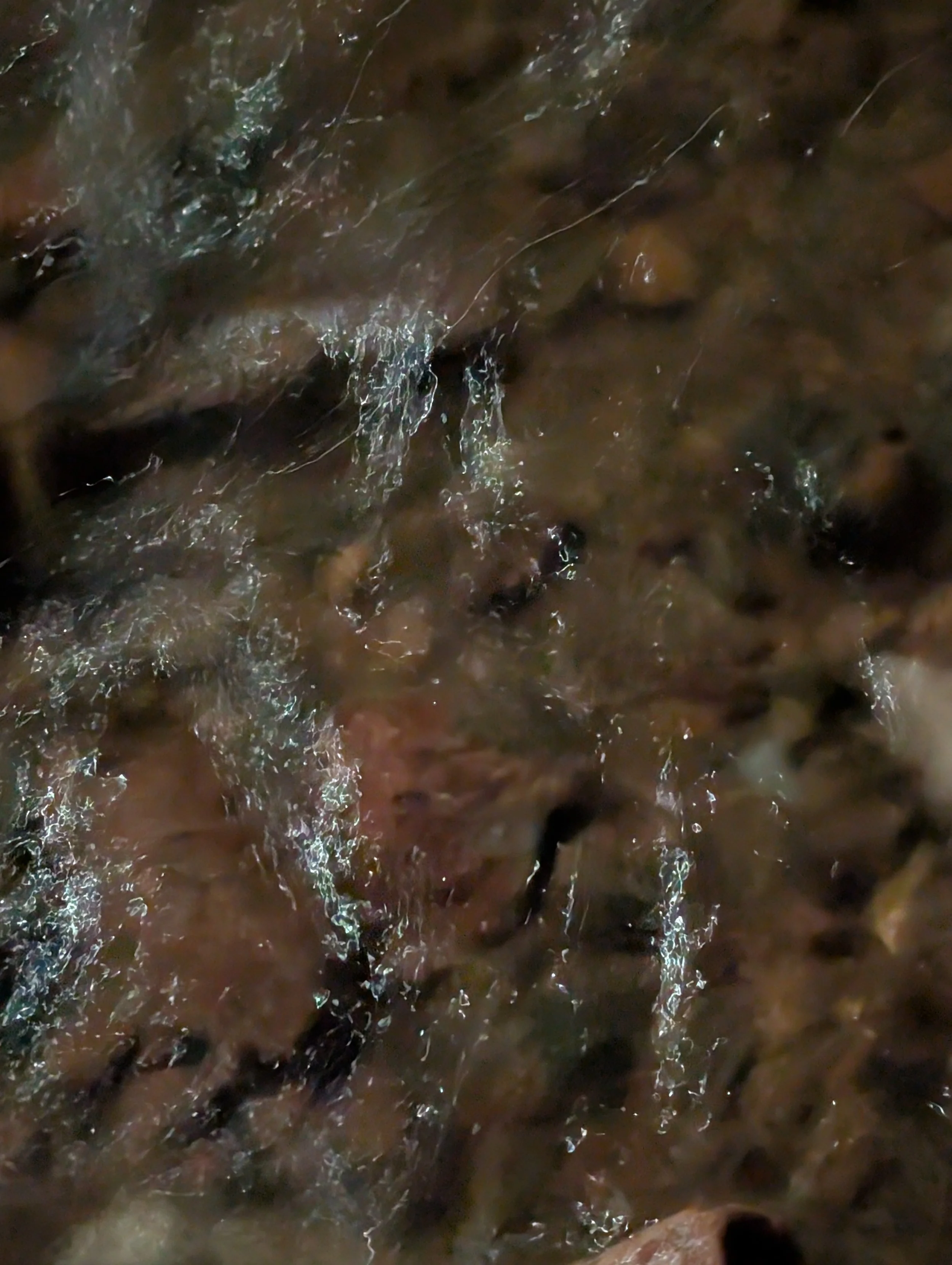 PXL_20260927_044235389.jpg