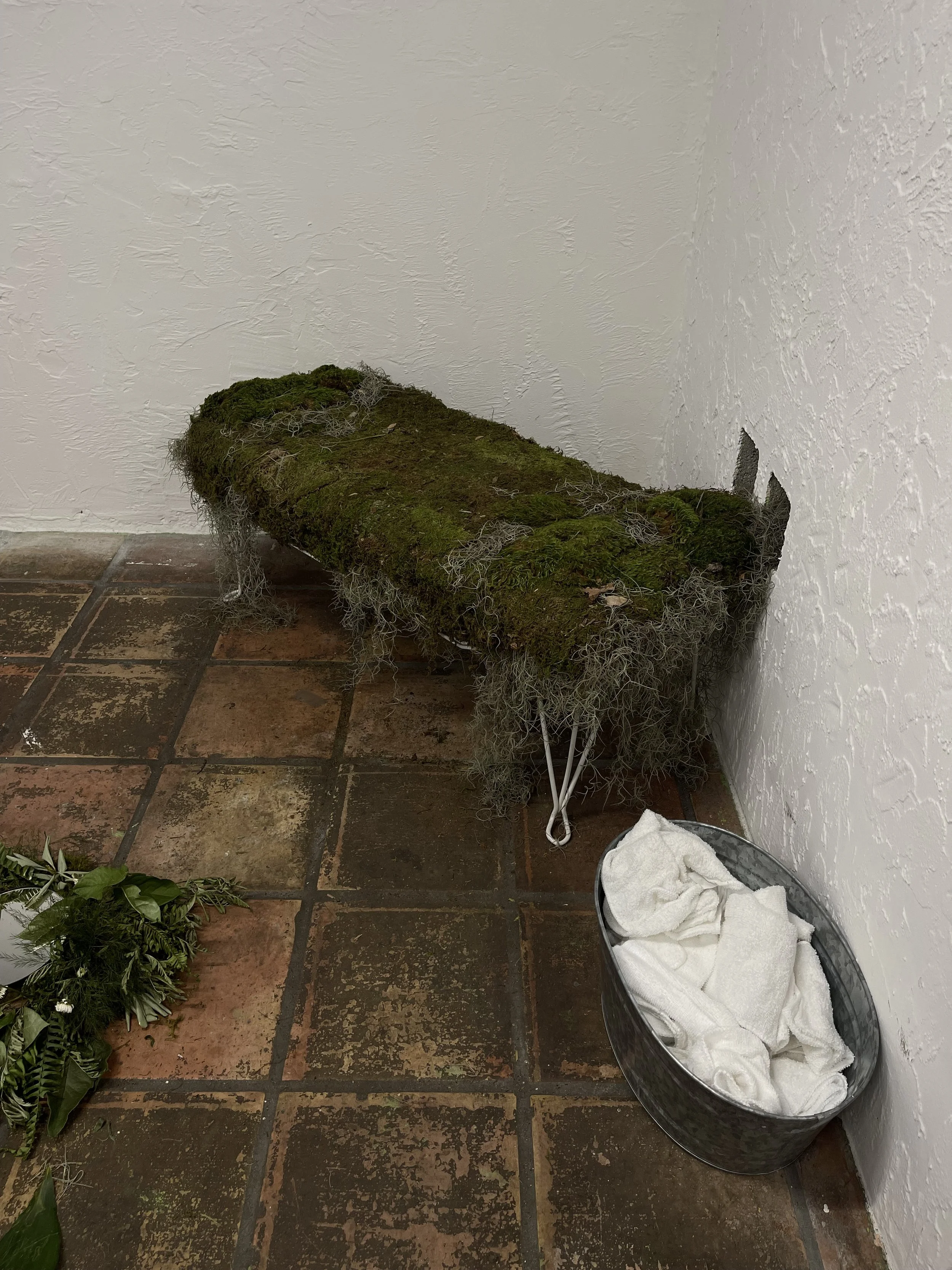 IMG_1934.jpeg