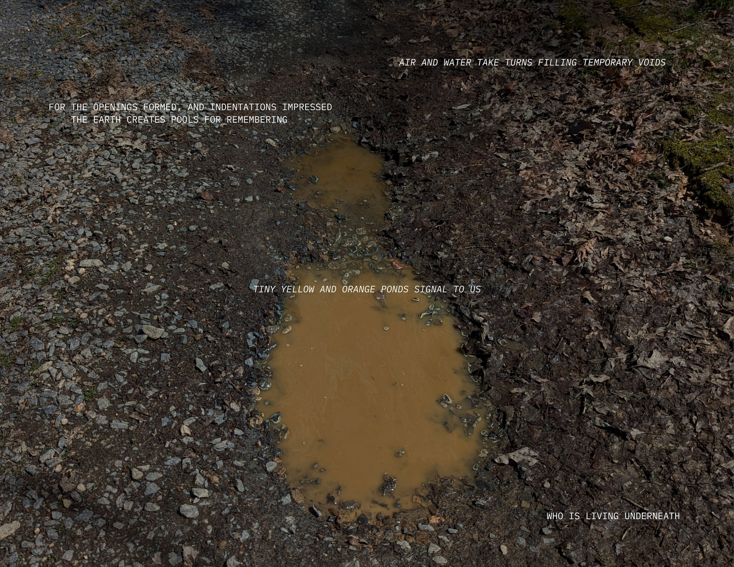 store copy 2.png