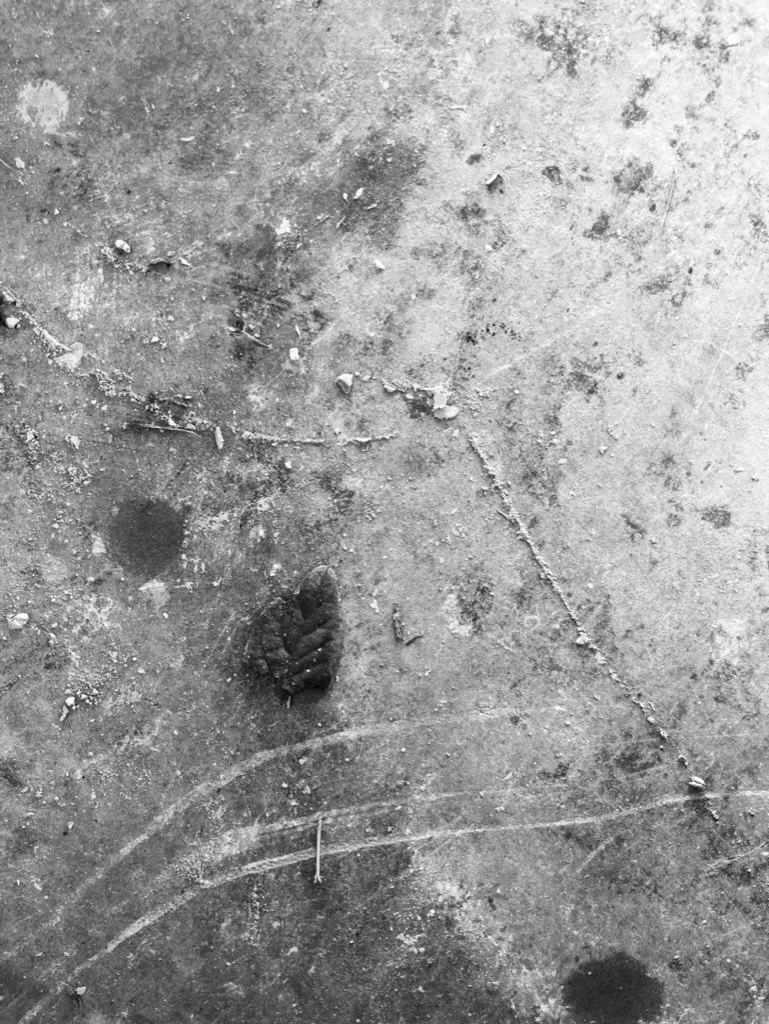 kaolin epk on floor | 2022