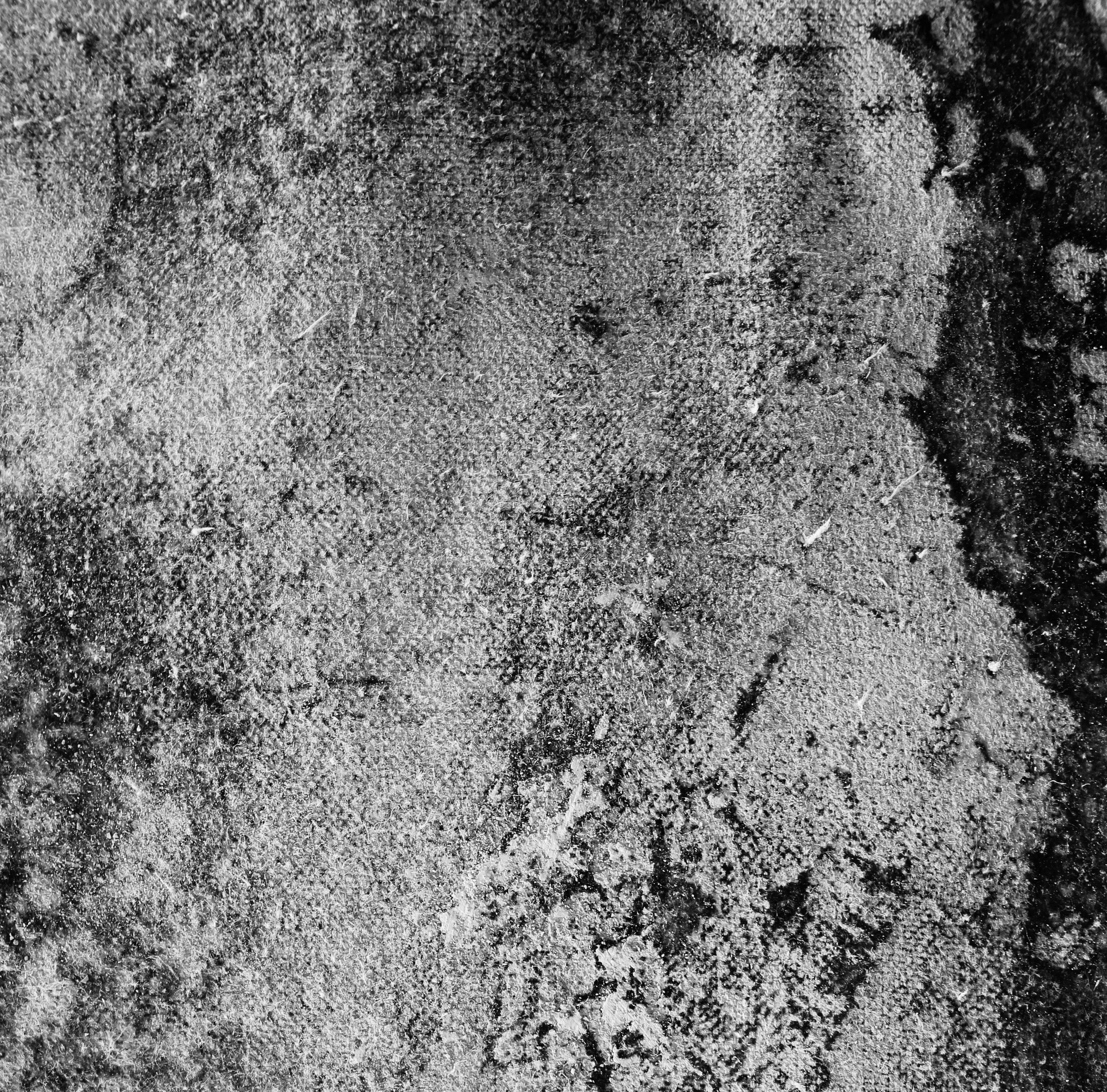 kaolin epk + mold | 2020