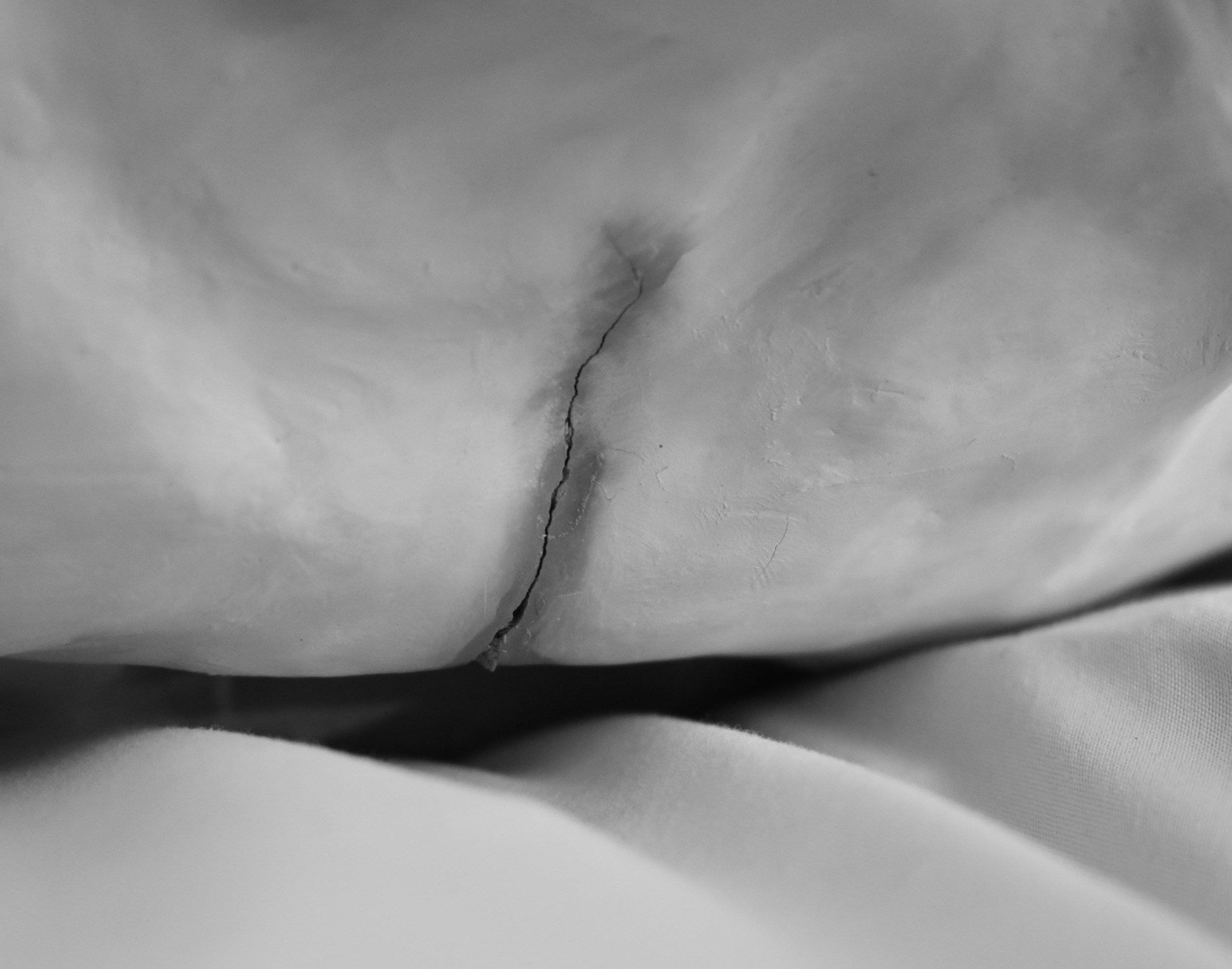 F500B07F-D9B6-42F9-A995-0F167475C7BE.jpeg