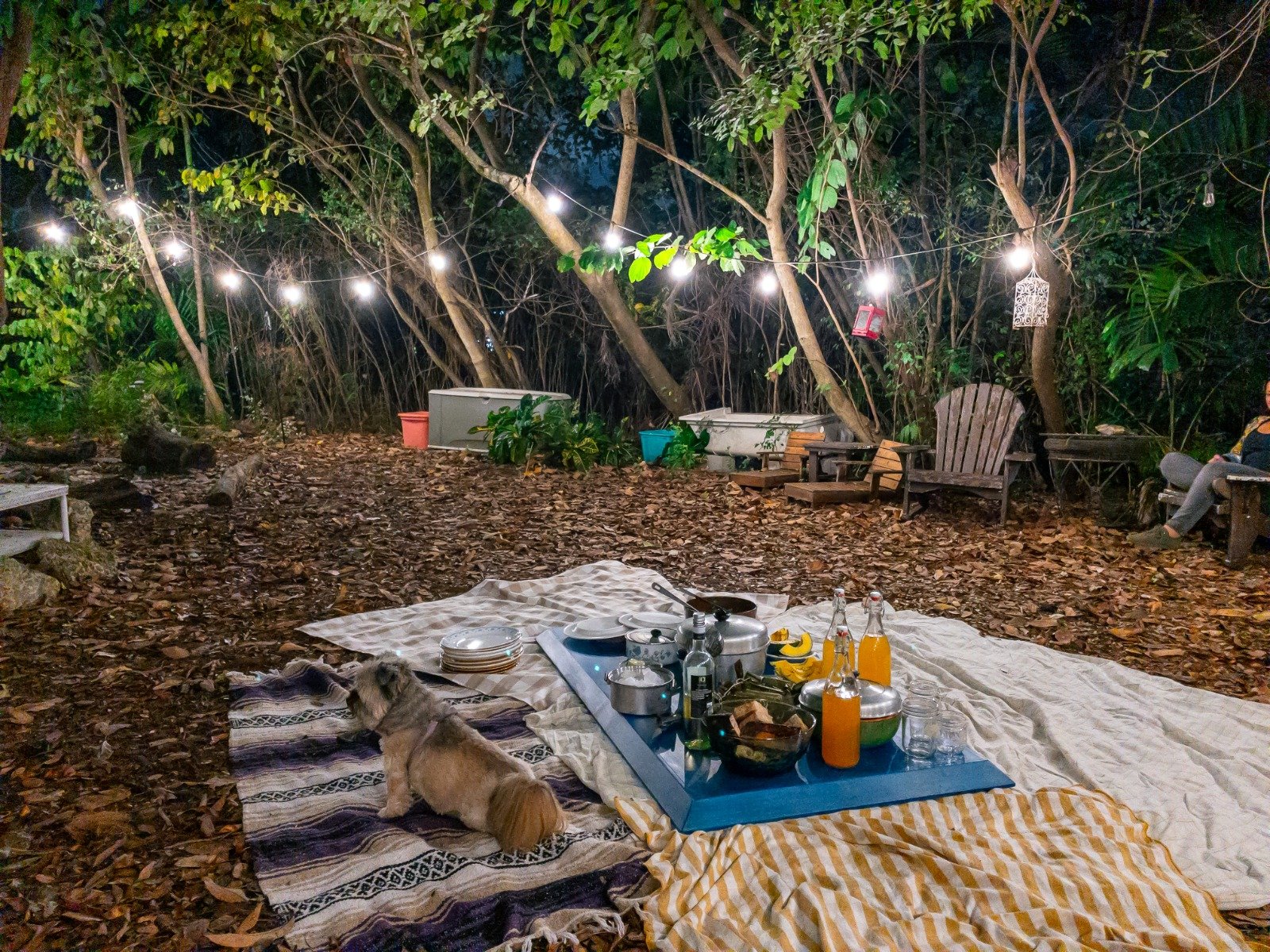 SOBREMESA | FINCA MORADA | NORTH MIAMI, FL | MAY 2022