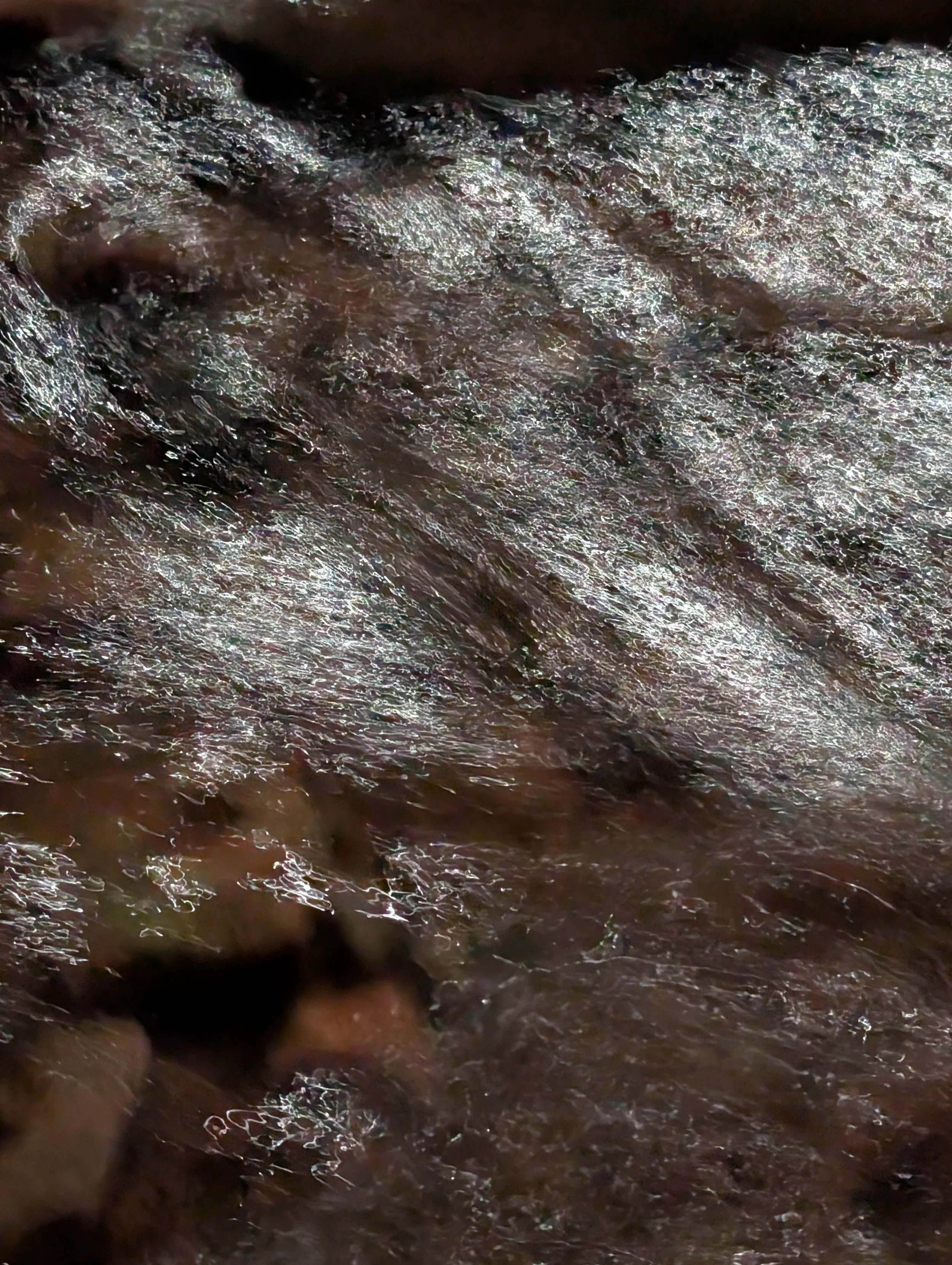 PXL_20260927_044221006.jpg