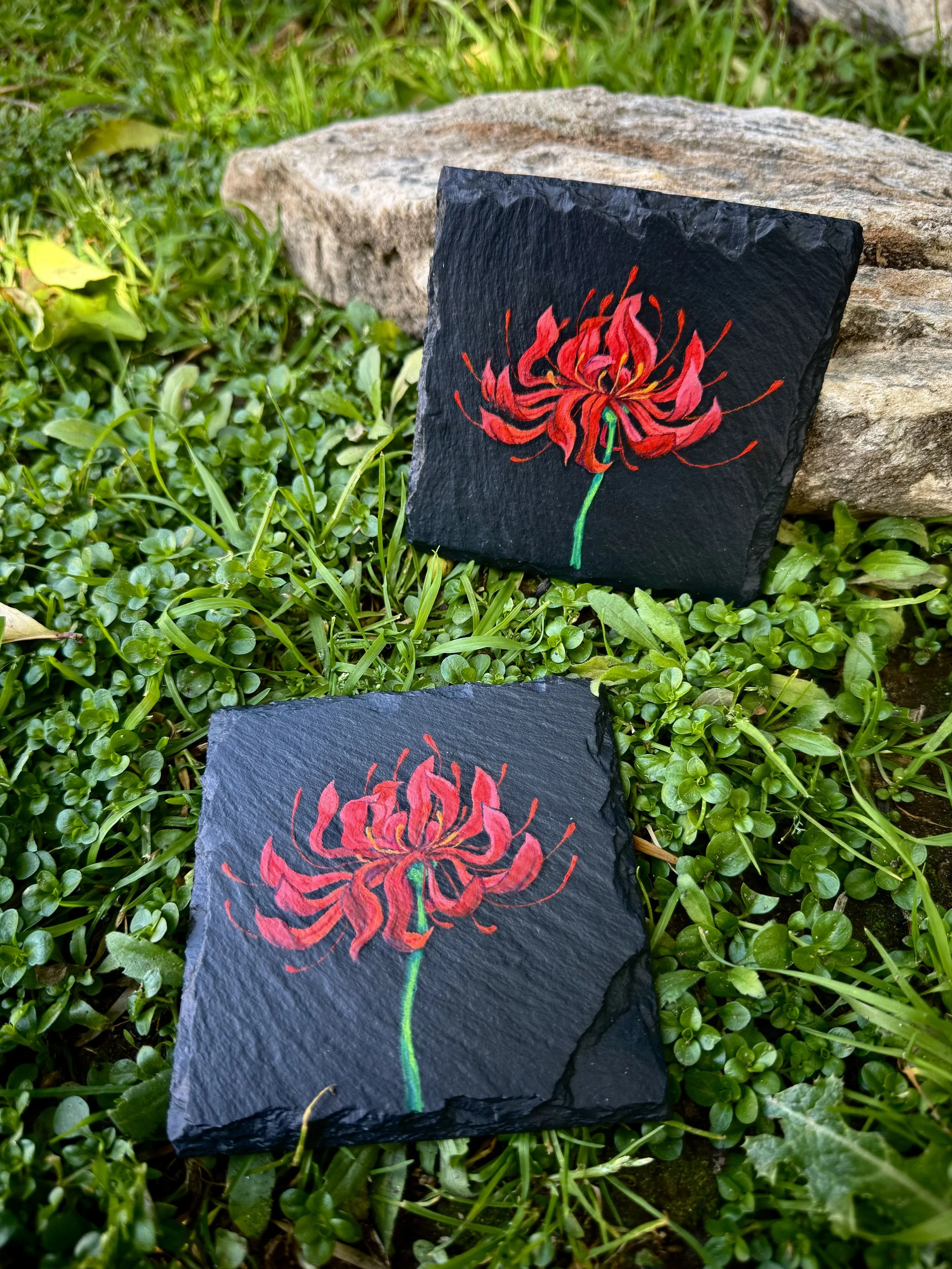 Red Spider Lilies - Square Coasters