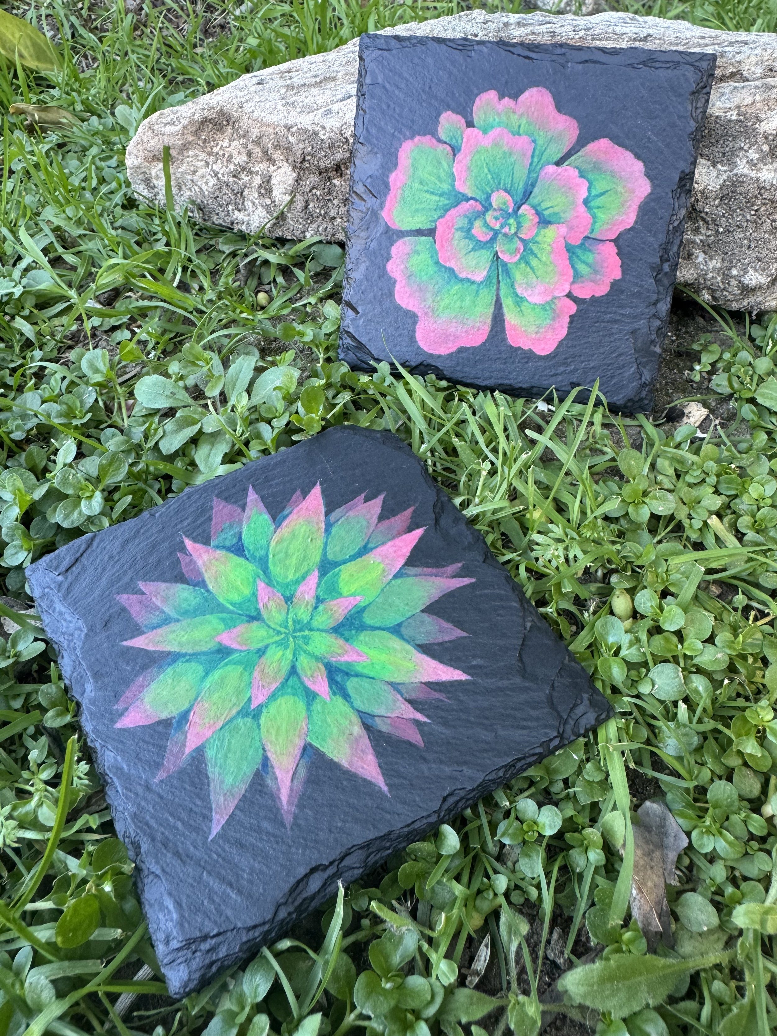Succulents - Square Coasters