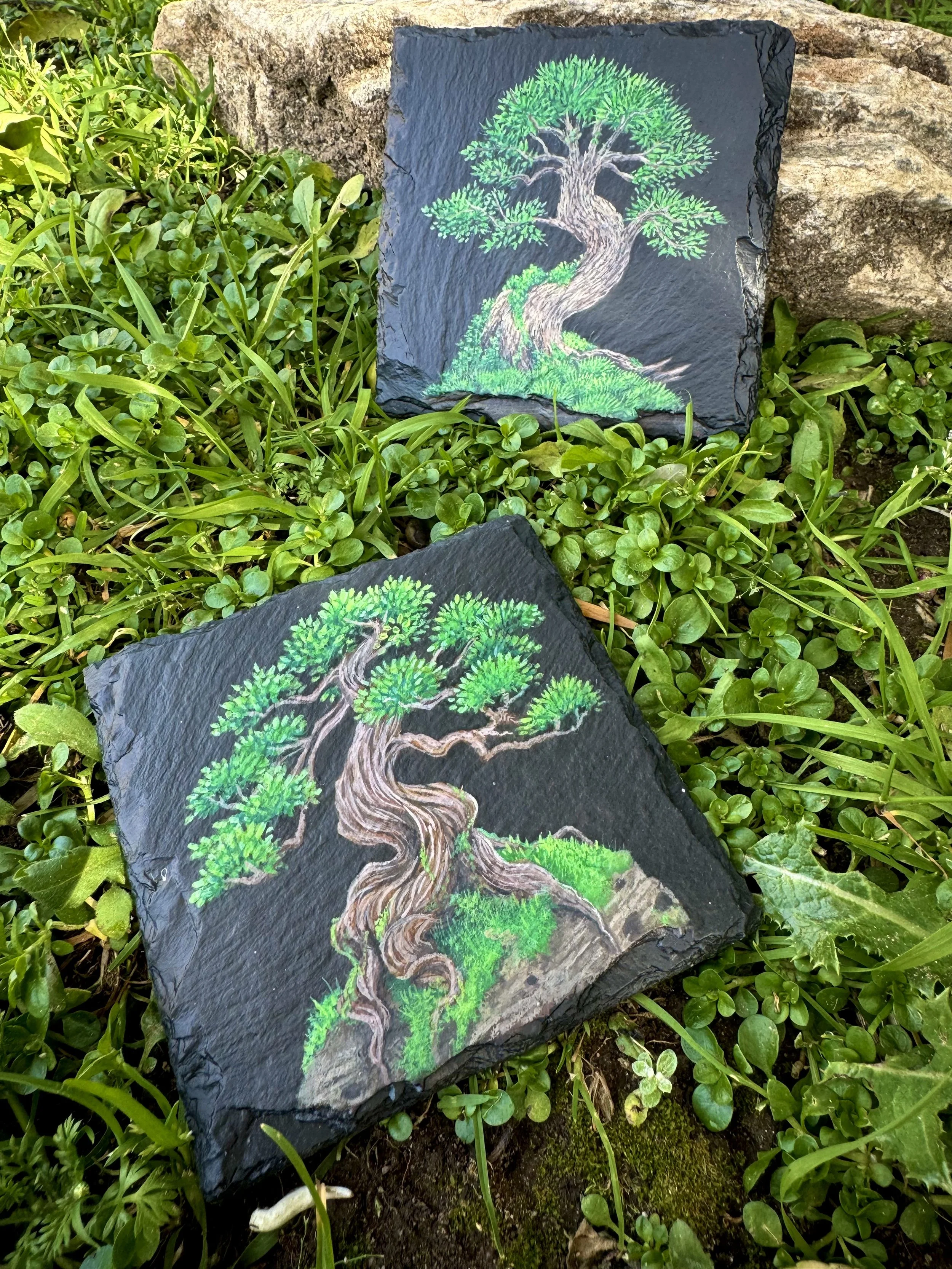 Bonsai - Square Coasters