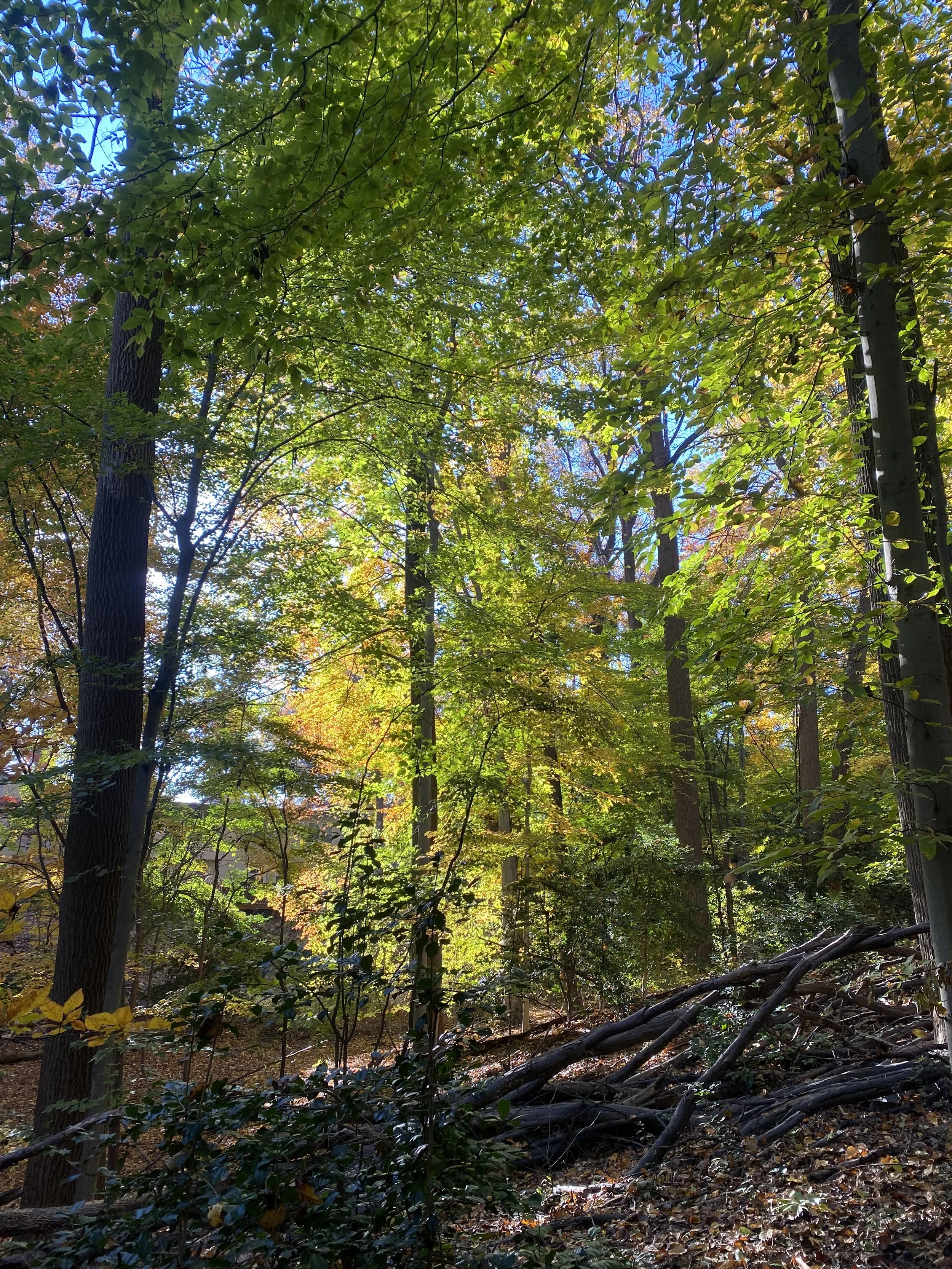 word count: missing my characters.