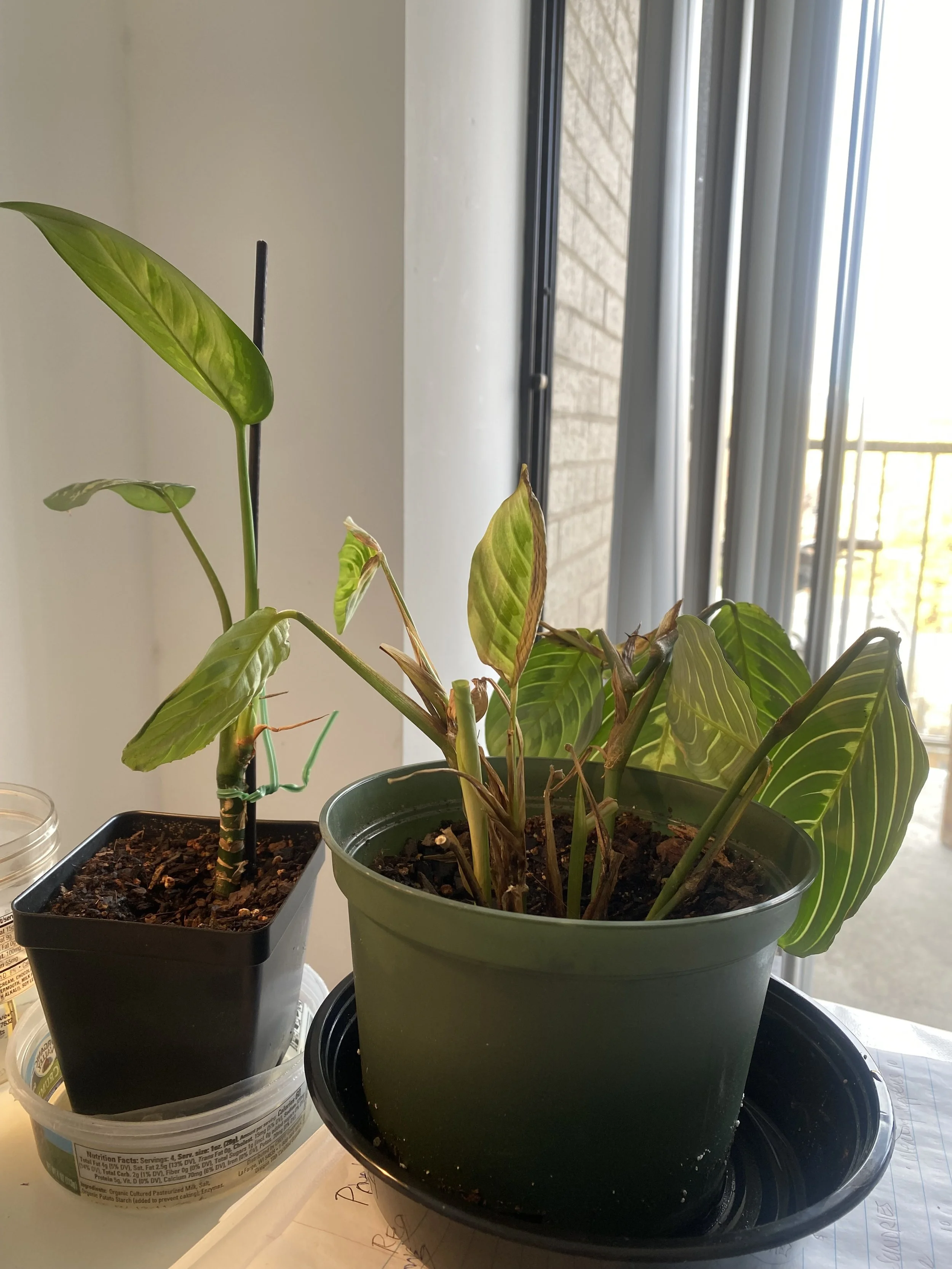 Word Count: Where is this going?