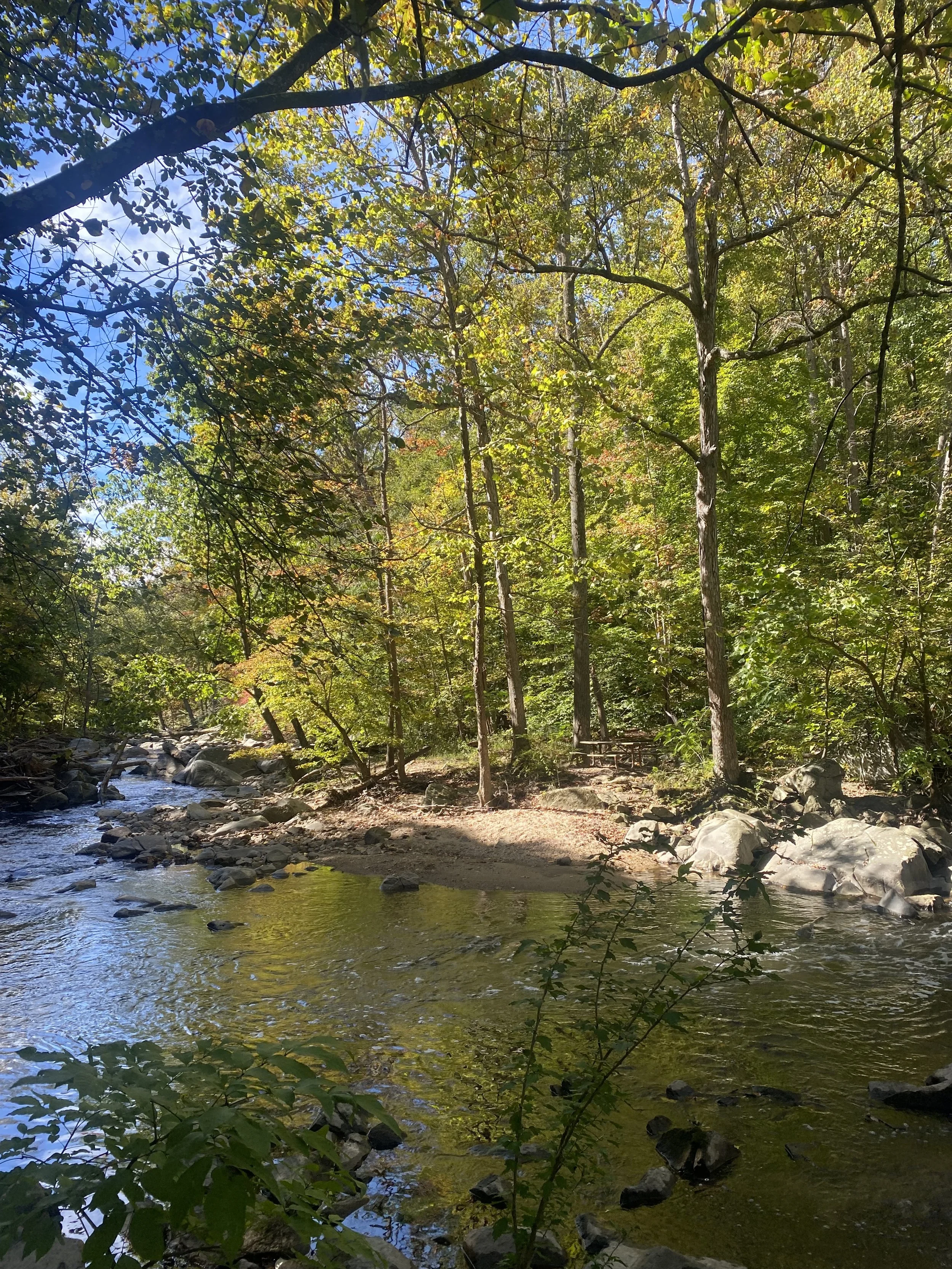 Word Count: I write dialogue.