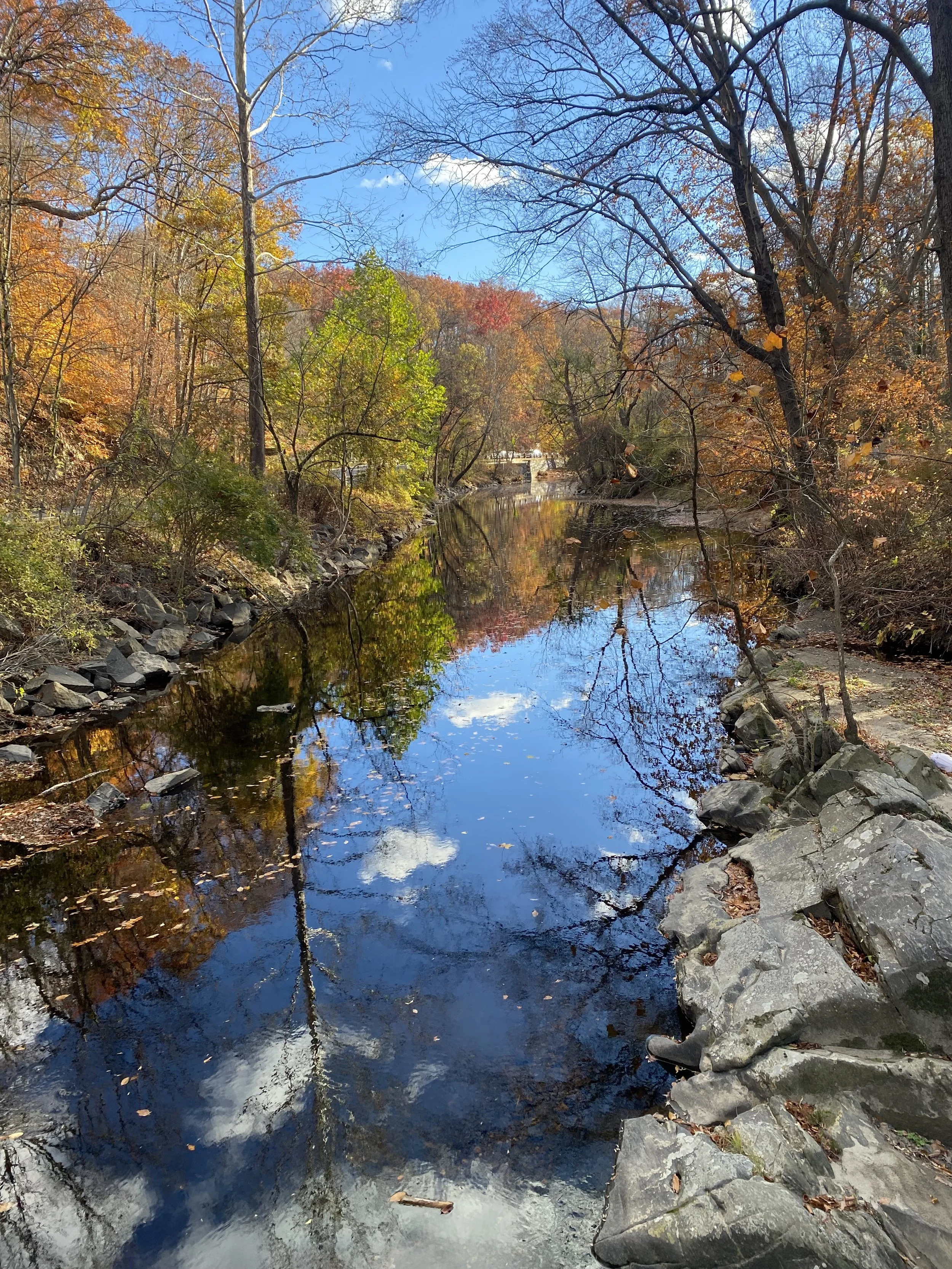 Word Count: Adding character description