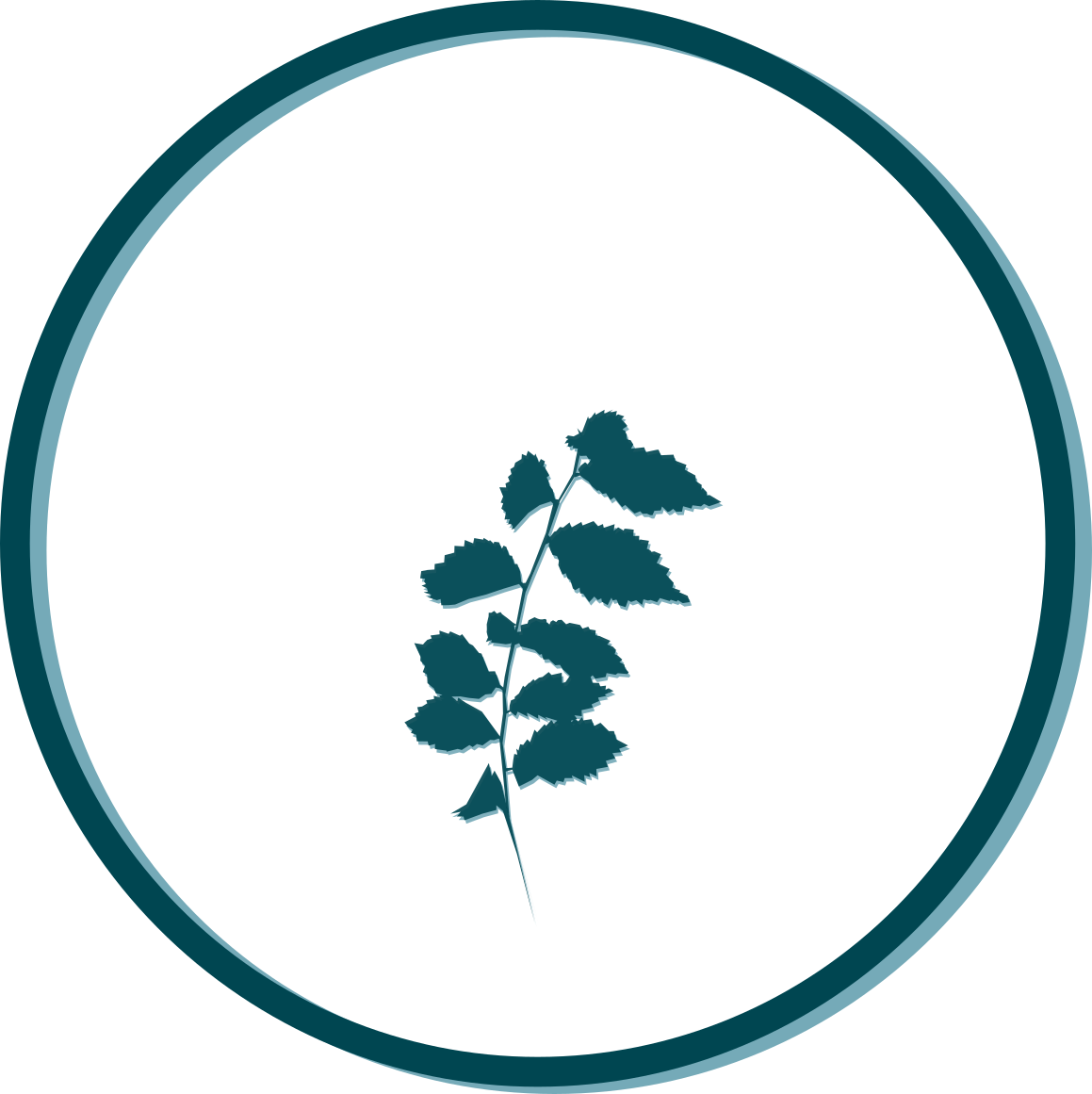 ELMM_Seedling.png