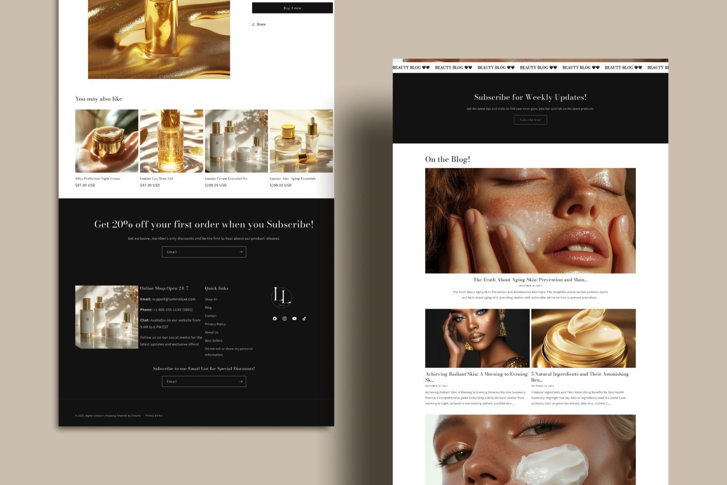 Shopify PLR Website Template -06.jpeg