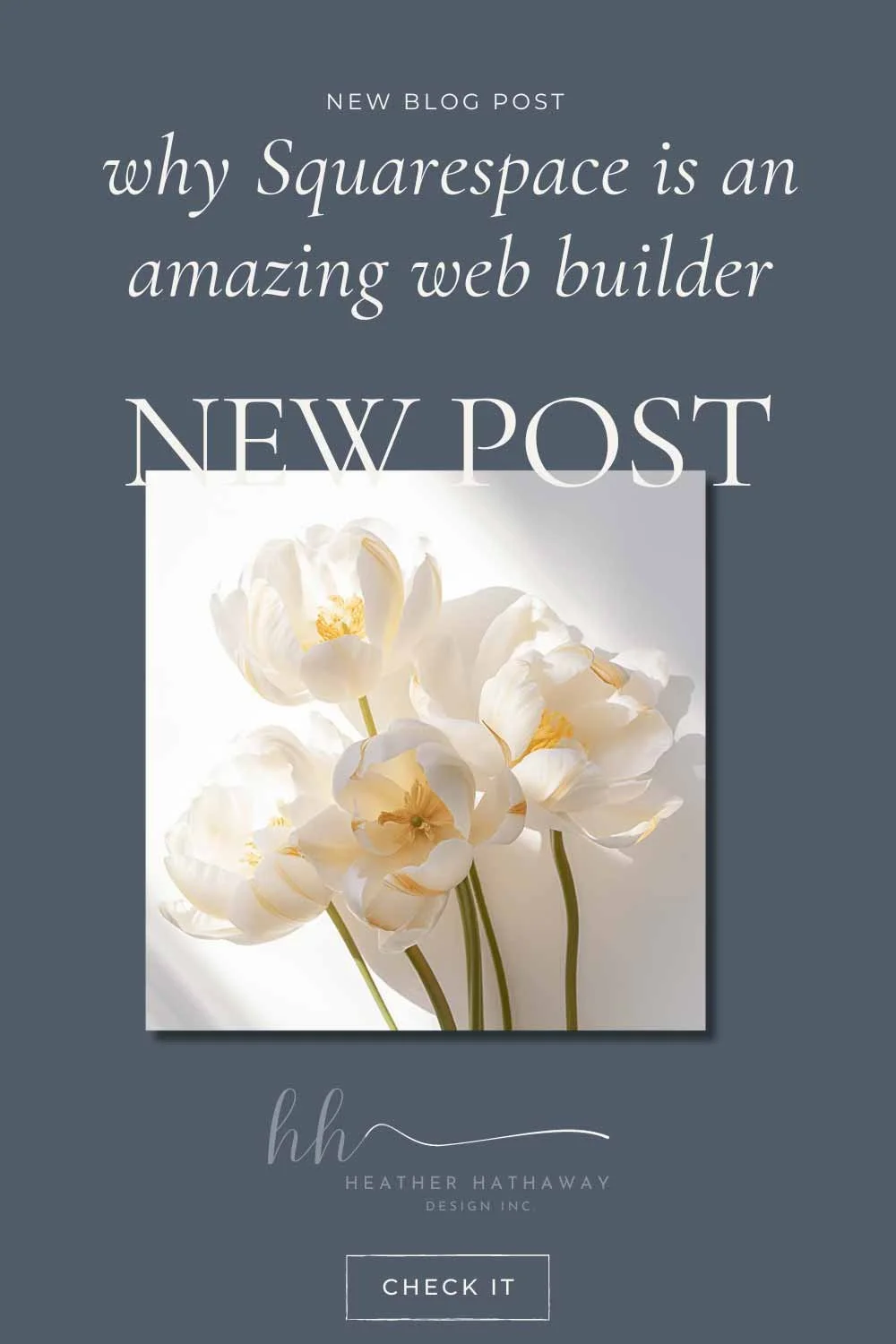 Why use Squarespace An All-in-One Platform