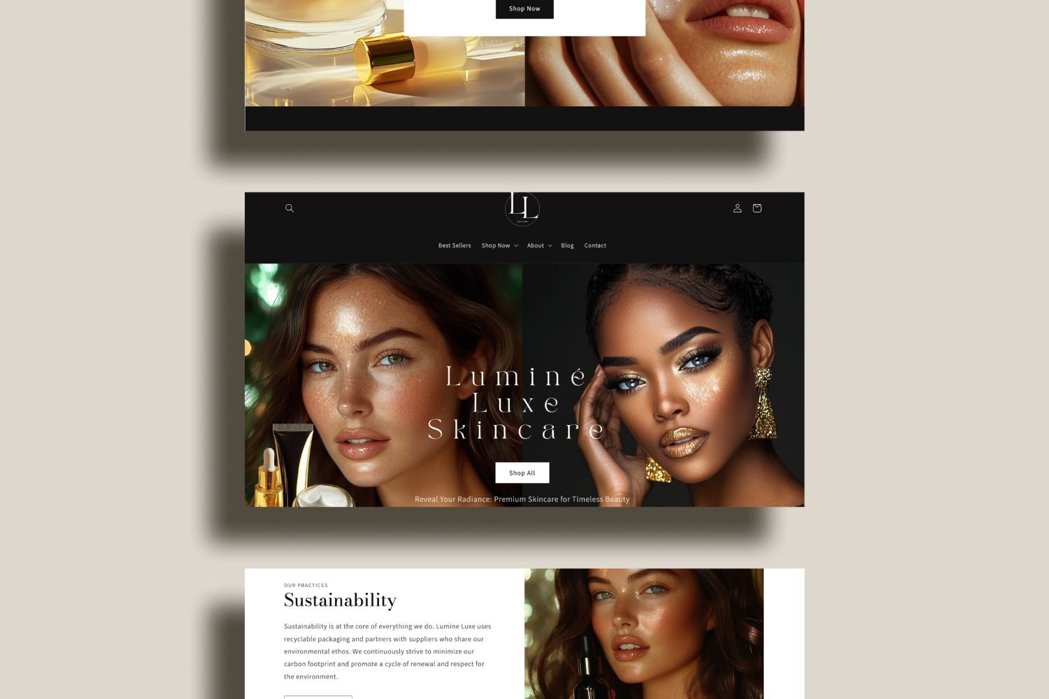 Shopify PLR Website Template -07.jpeg
