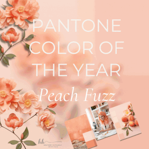 Styled Stock Images for the Holidays — Web Design and Branding Services