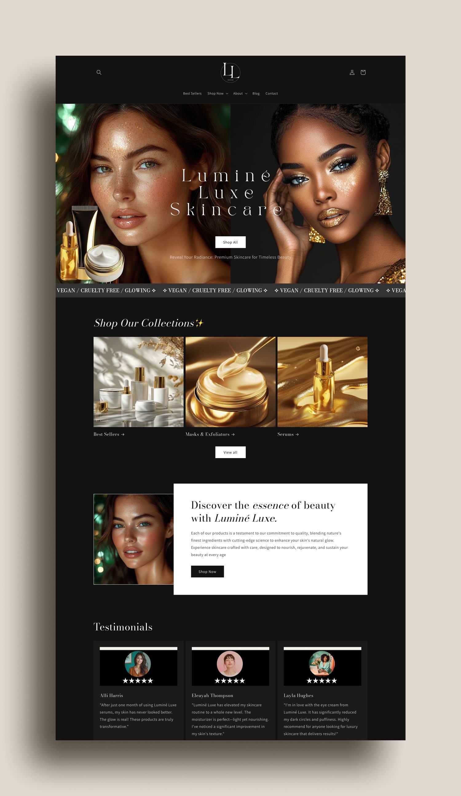 Shopify PLR Website Template -09.jpeg