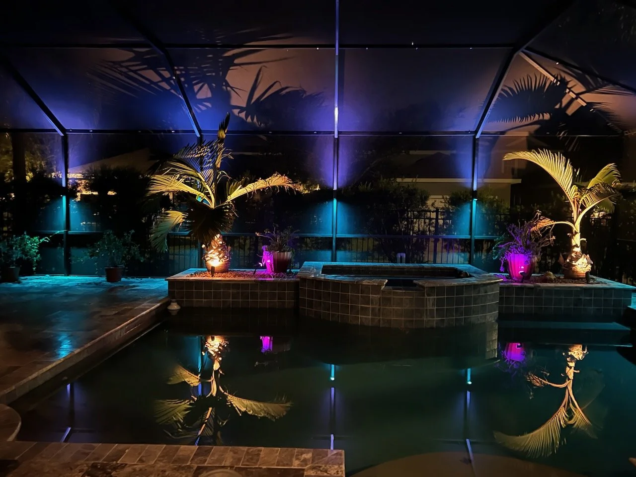 Nighttime view of a backyard pool area with illuminated potted plants, including palm trees with uplighting, reflected in the pool's water, enclosed by a screened structure.