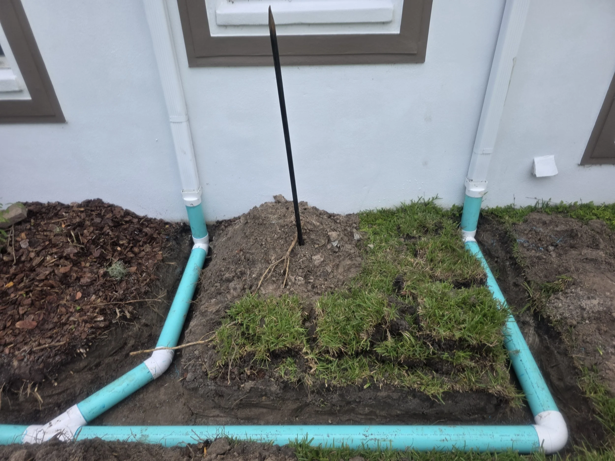 A garden bed with newly laid irrigation pipes, partially covered with grass and soil, against a white wall with windows and drainage pipes.