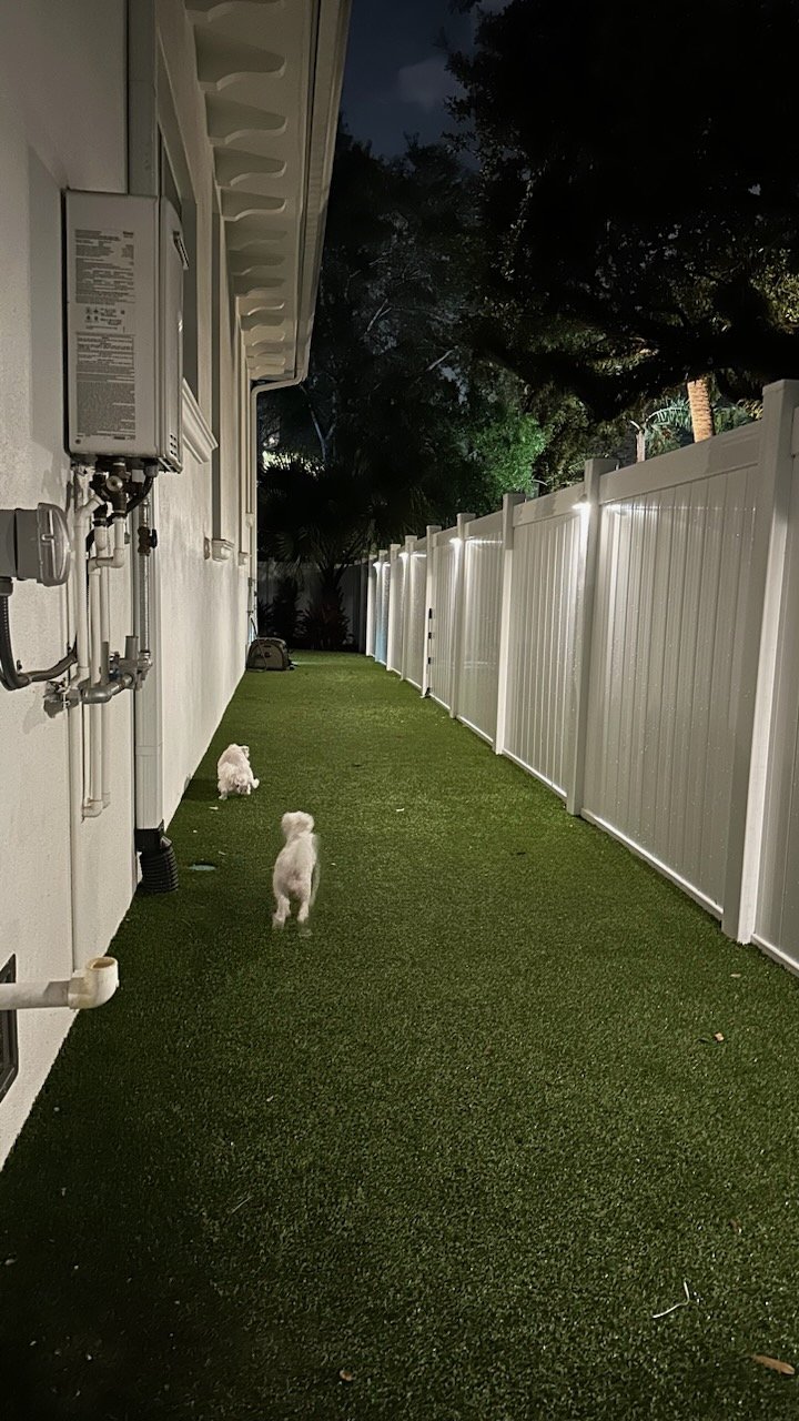Nighttime backyard scene with white puppies playing along a grassy yard next to a white house with pipes and a water heater, bordered by a tall white fence with lights, and trees in the background.
