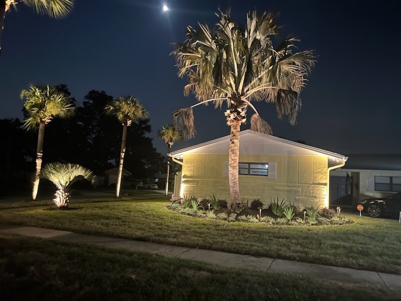 Nighttime view of a house with exterior lighting, palm trees in the yard, a street sidewalk, and a driveway with a car parked, under a dark sky with the moon visible.