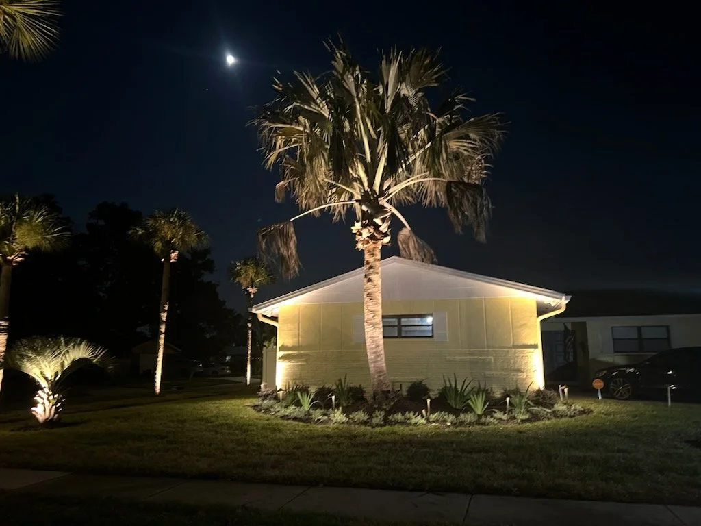 Nighttime scene of a house illuminated by outdoor lights with a large palm tree in front, other smaller palm trees, and a moon in the sky.