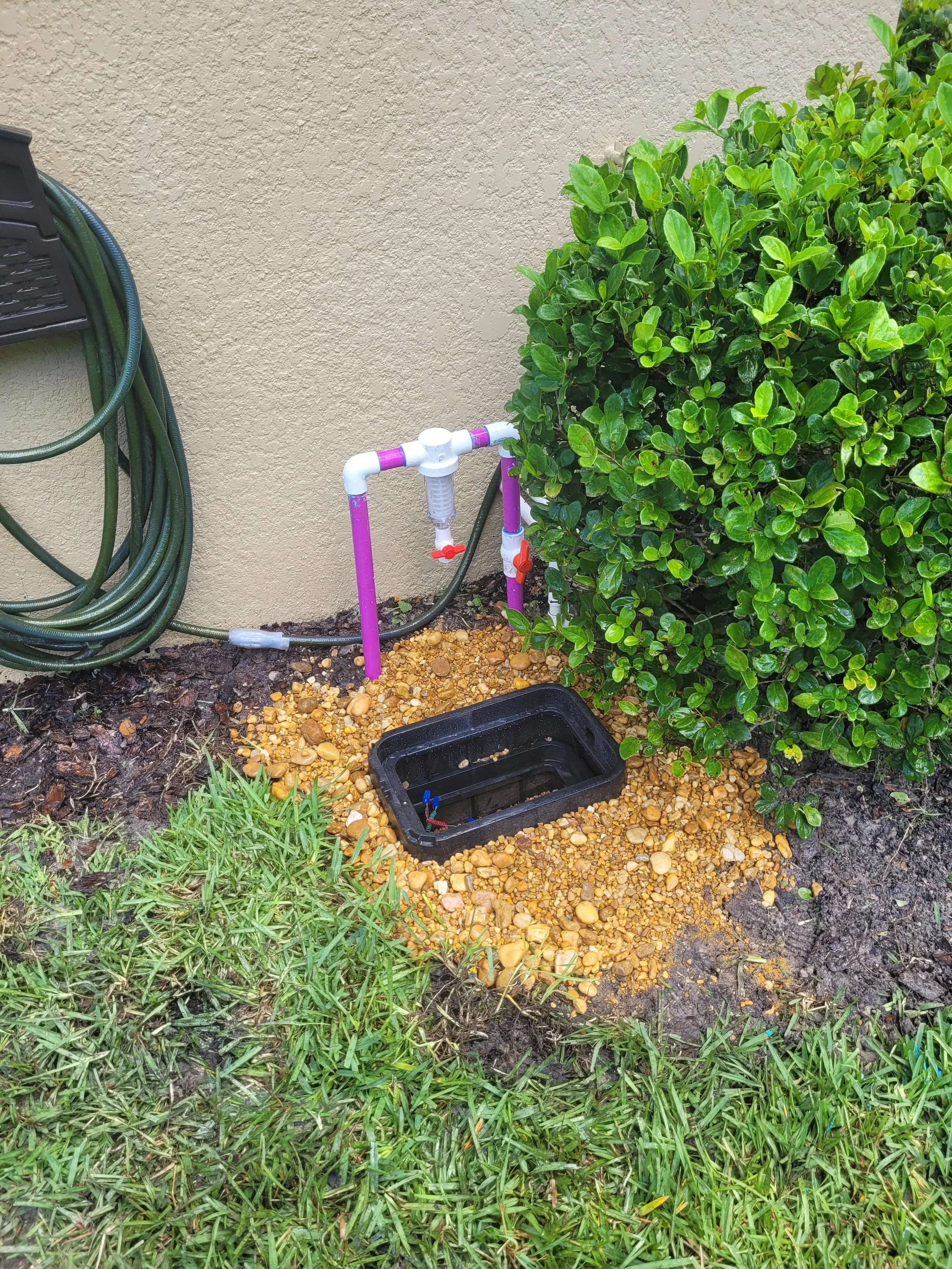 An outdoor gardening area with a water faucet attached to purple pipe, connected to hoses and a black underground watering system; nearby are green plants, a shrub, and green grass.