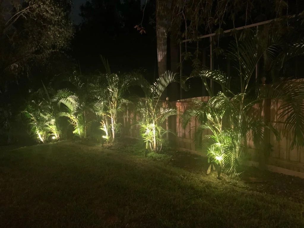 Nighttime backyard with palm plants illuminated by landscape lighting along a wooden fence.