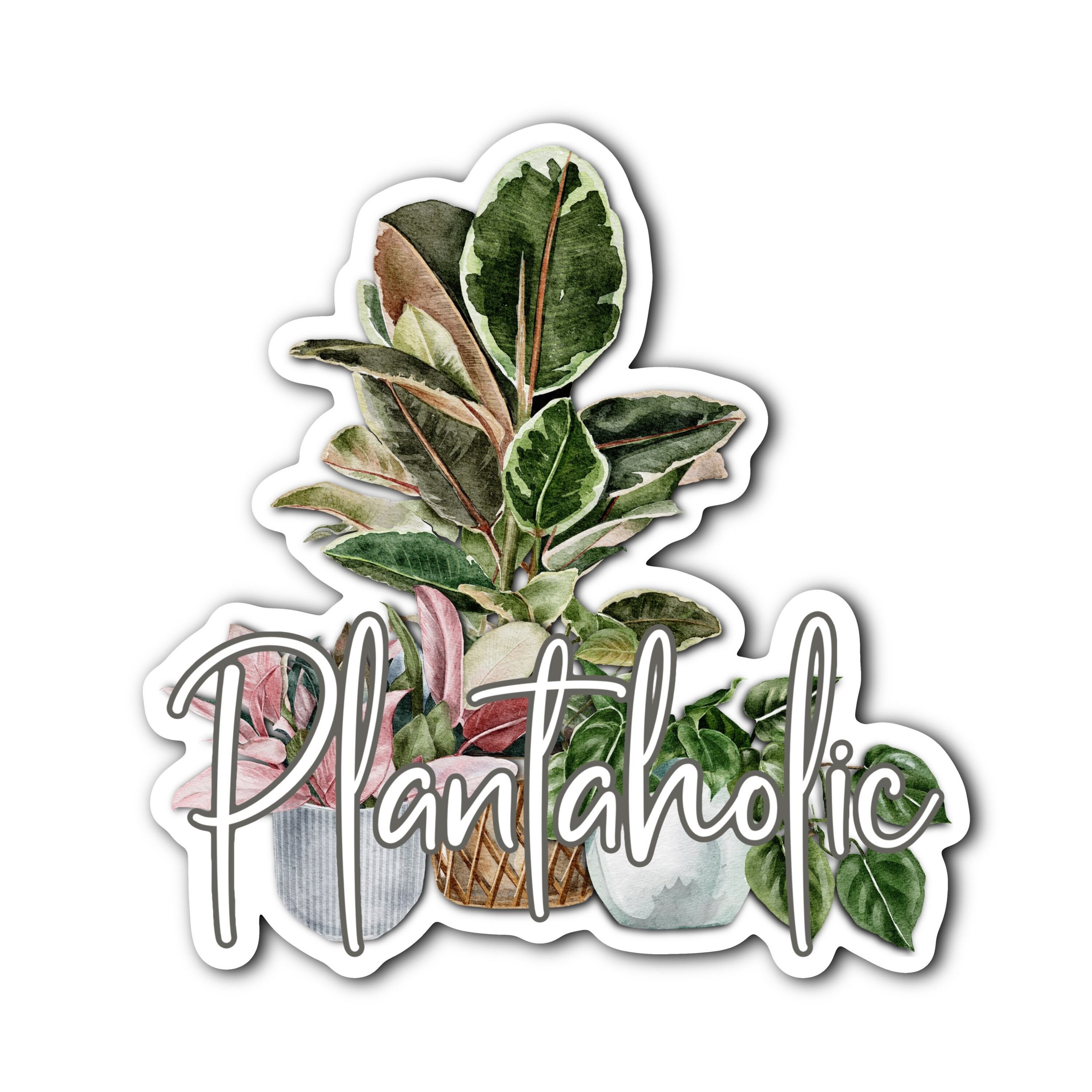 https://i.etsystatic.com/33716381/r/il/65adae/4650899267/il_fullxfull.4650899267_bfi1.jpg