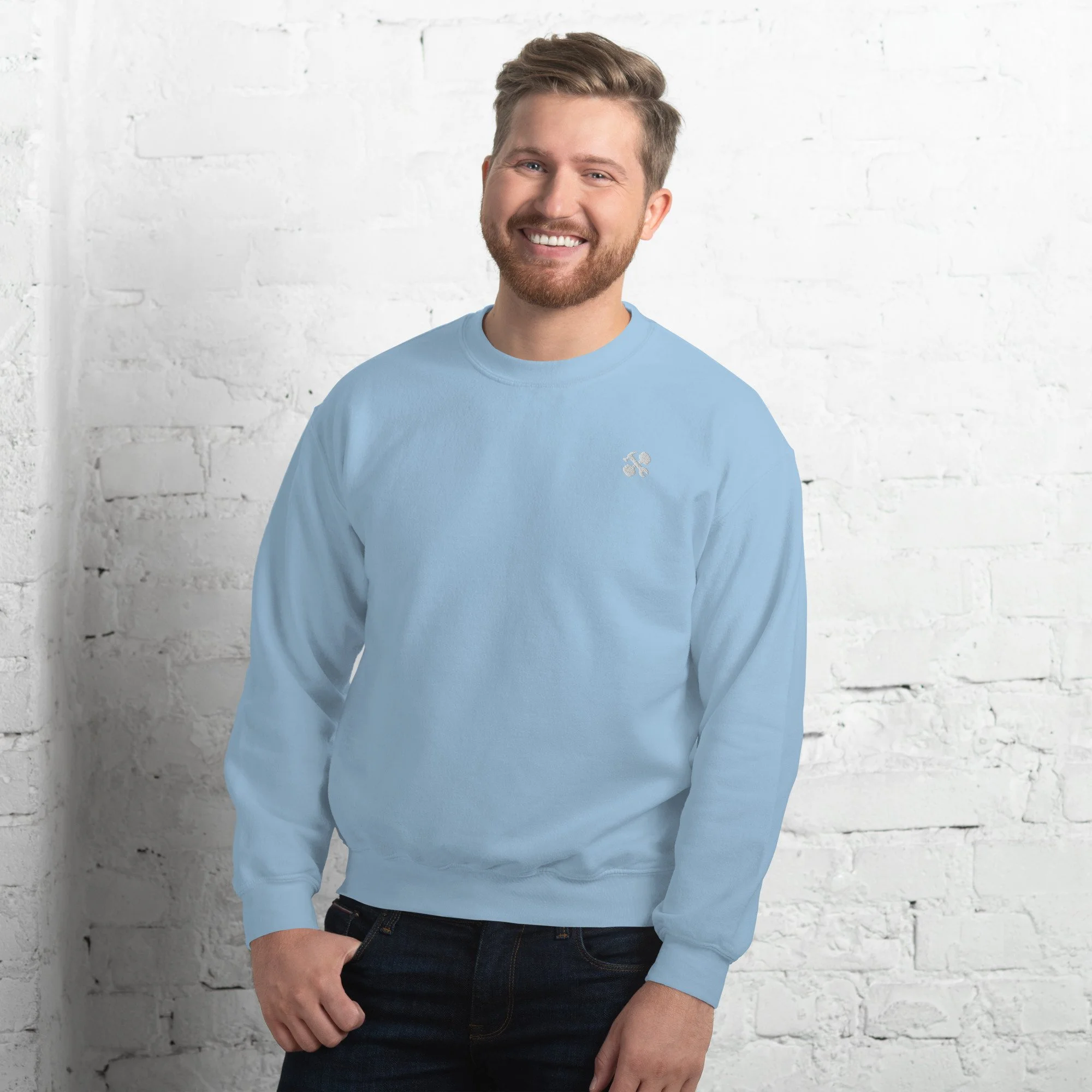 unisex-crew-neck-sweatshirt-light-blue-front-65a13cd3347fd.jpg