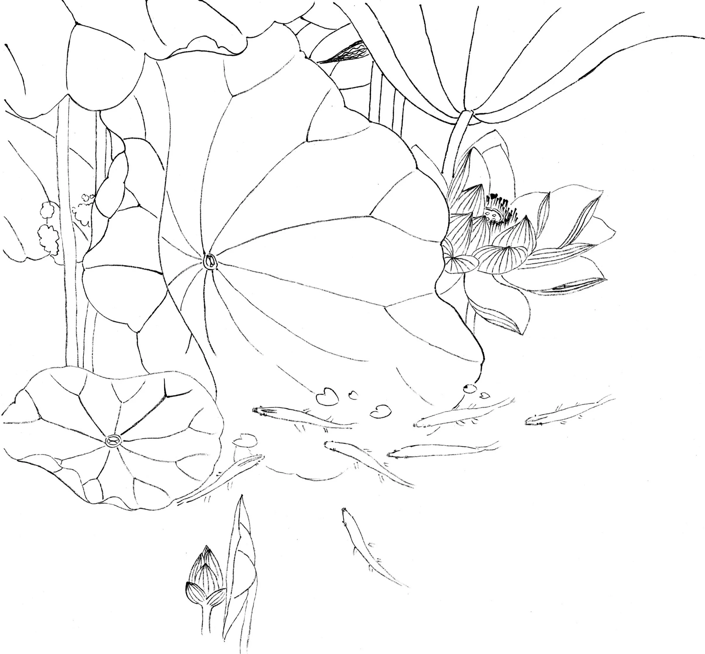 2018 47.3cm x 50cm
