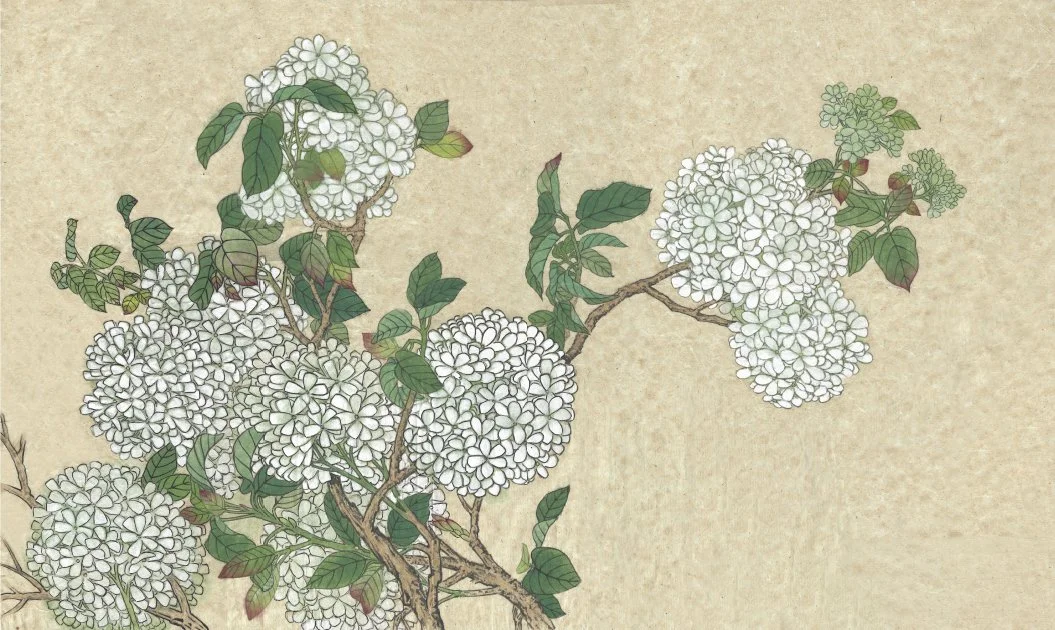 2017 43.6cm x 45.8cm