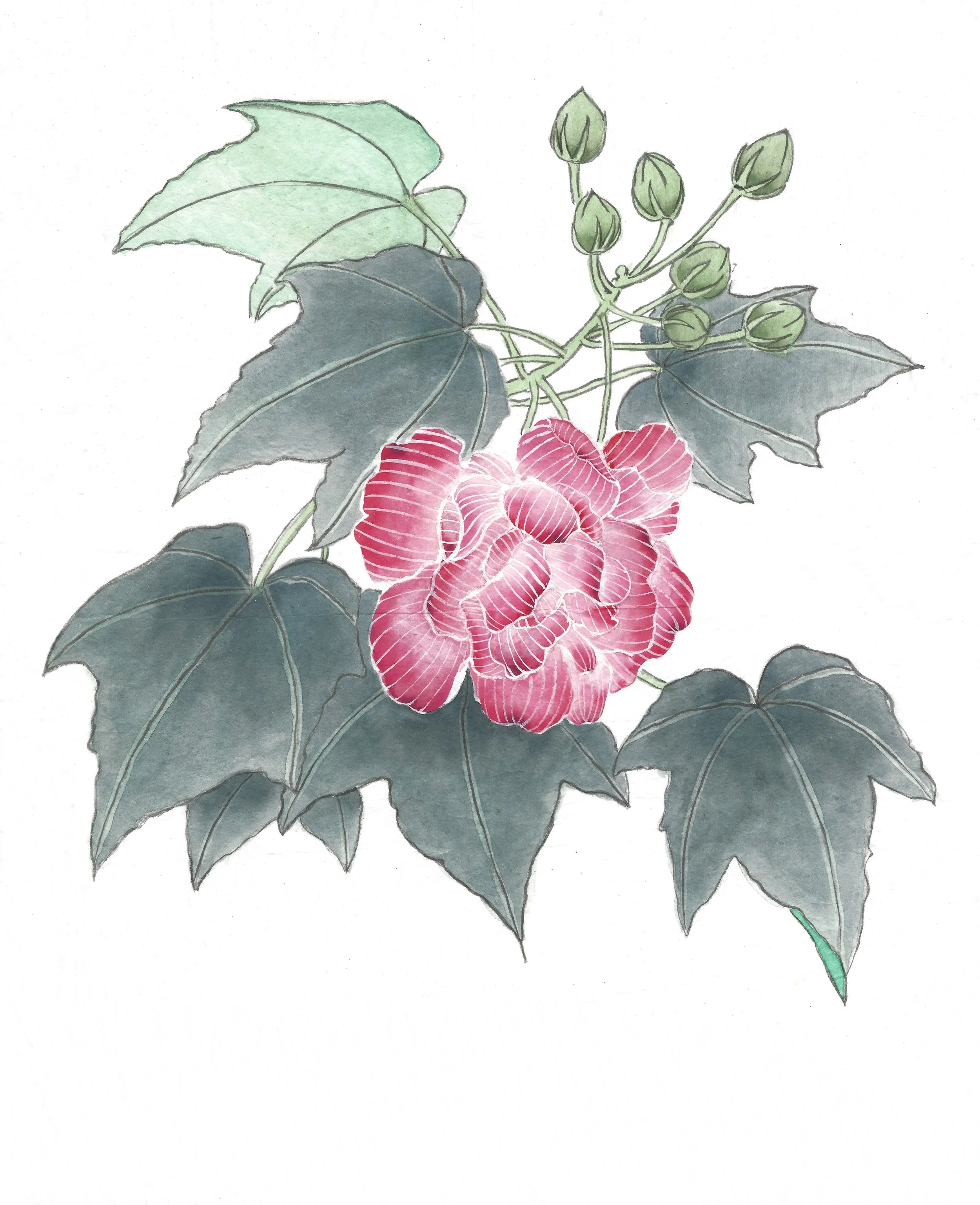 2015 30cm x 18cm