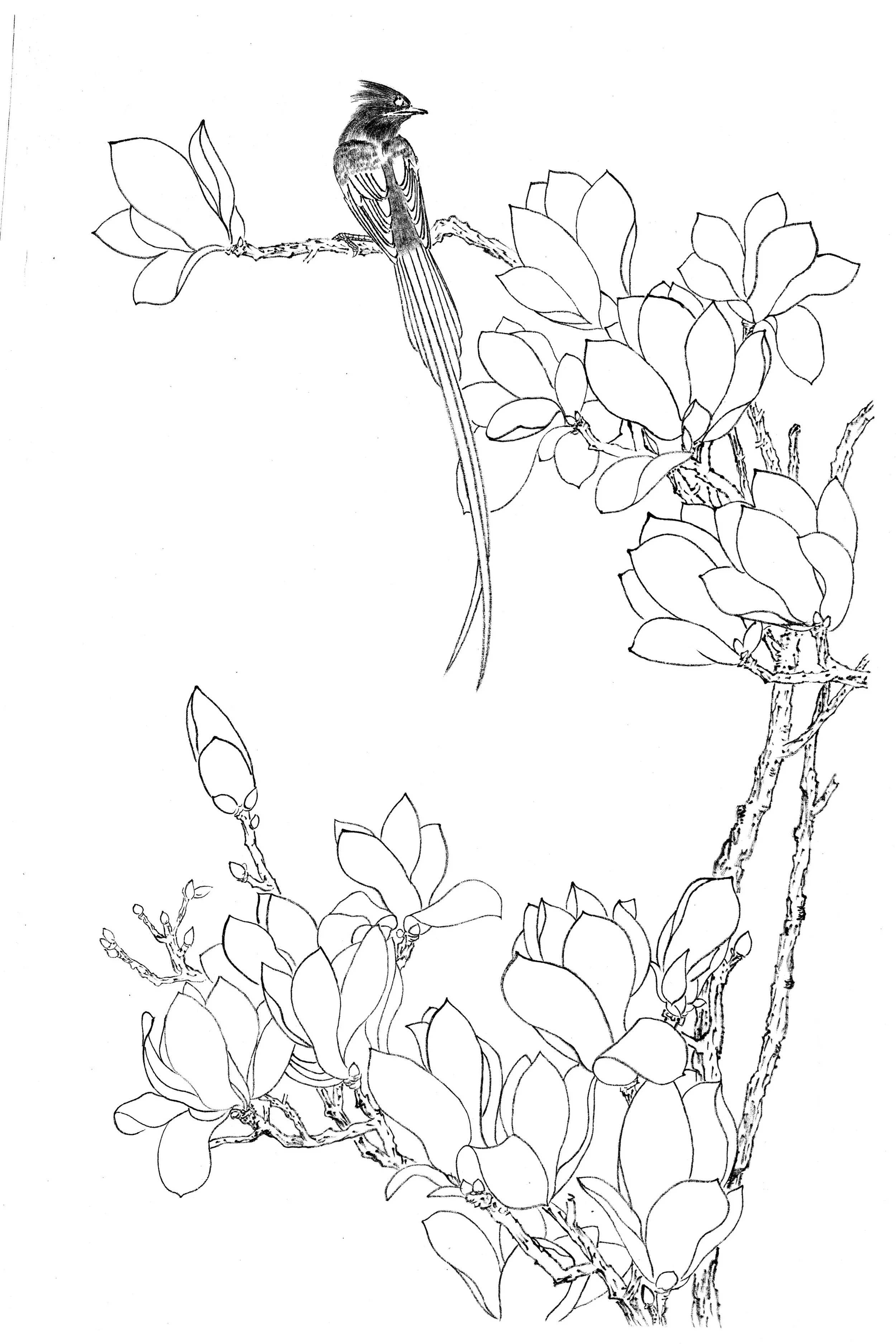 2018 53cm x 38cm