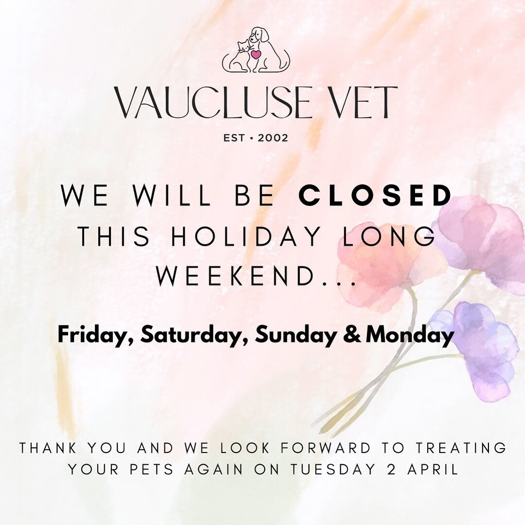 Wishing everyone a happy safe and healthy long weekend 🙏🐶🐱🐰🐹 @vauclusevetclinic