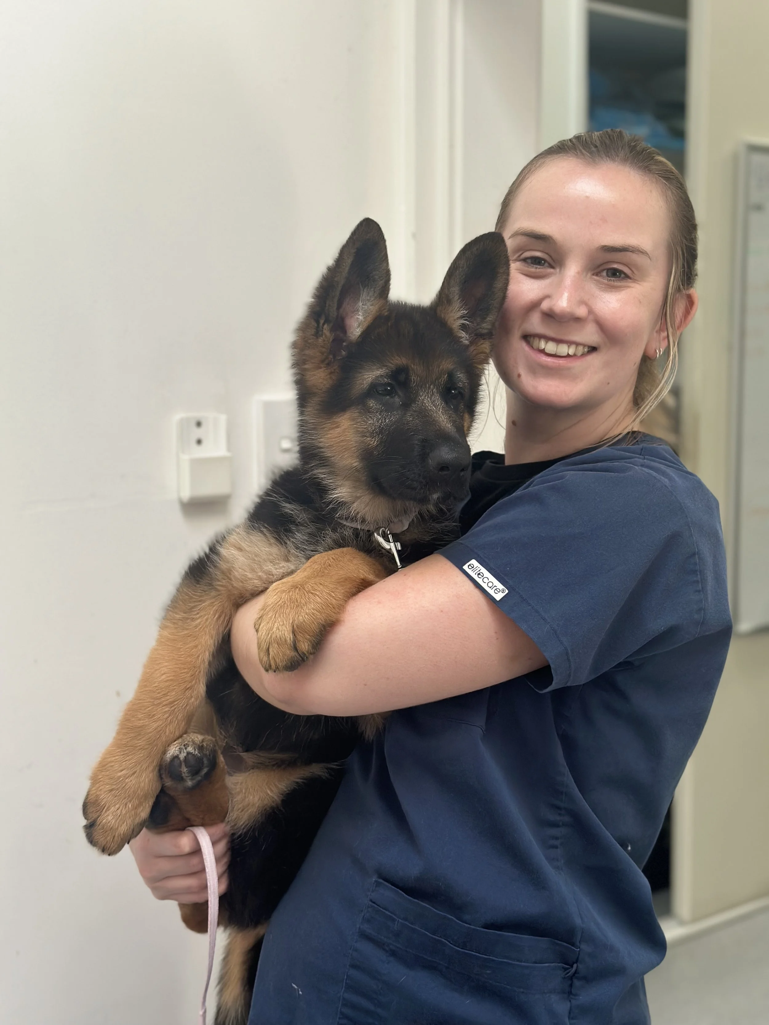 Dr Emily Kennedy Veterinarian Vaucluse Vet Clinic Hospital