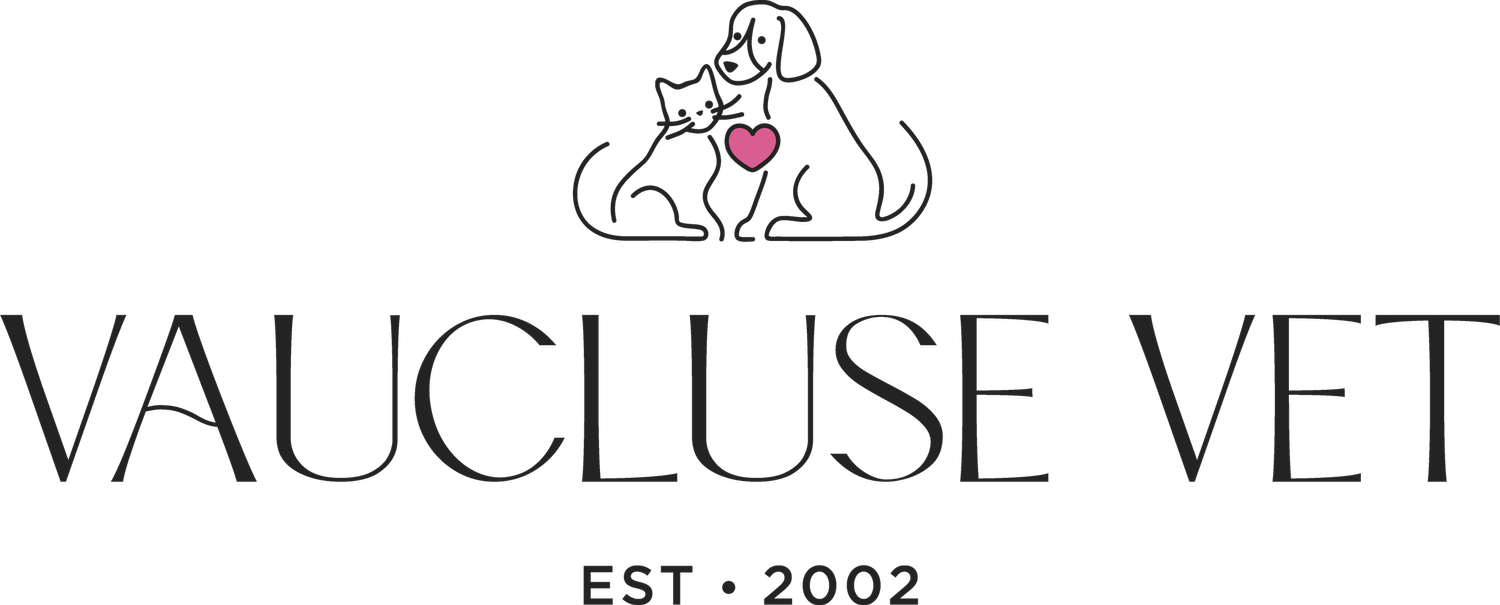 Vaucluse Vet | Clinic &amp; Hospital | Eastern Suburbs Sydney