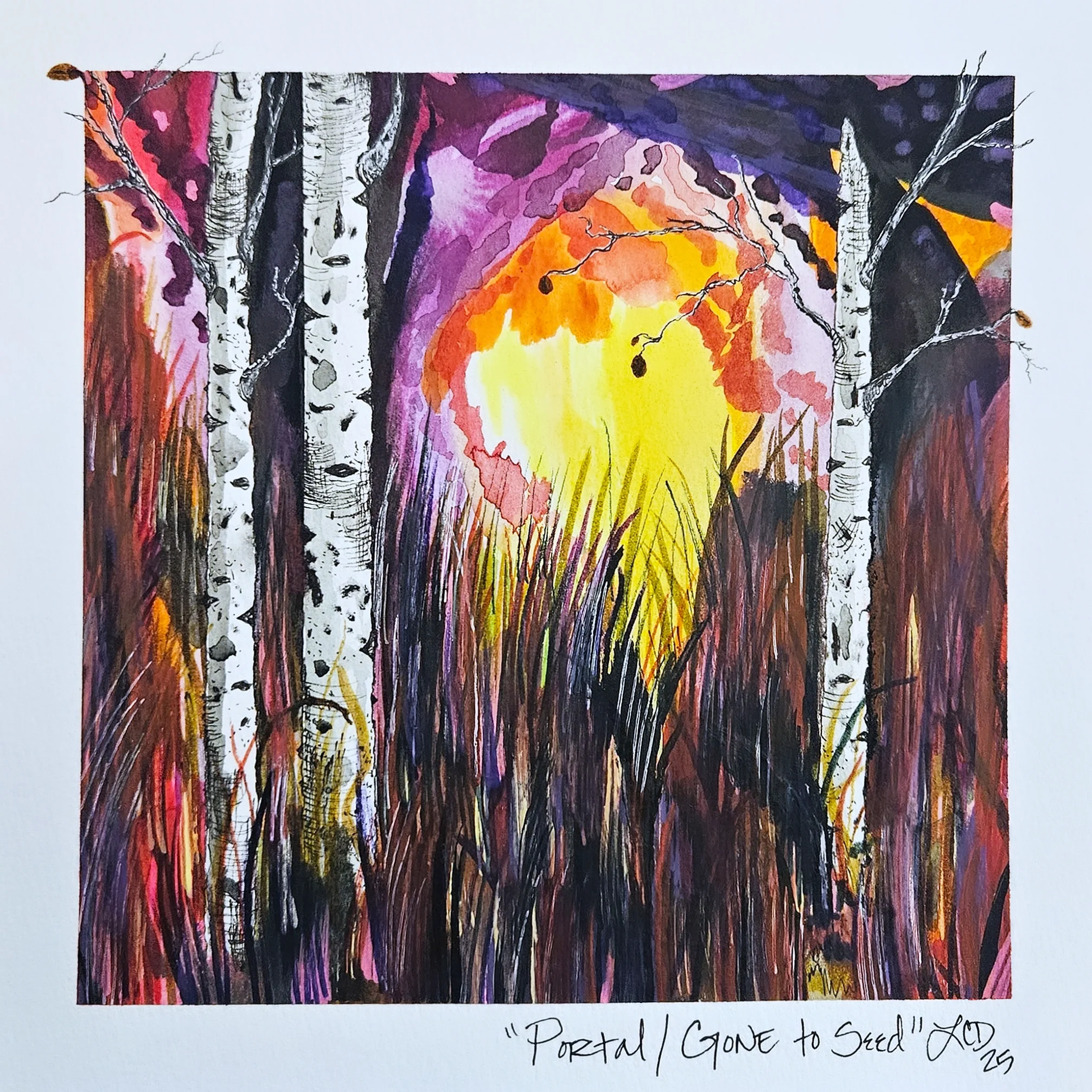 Portal/Gone to Seed,
Watercolor, gouache, marker, pen, acrylic marker, metallic, and oil pastel
2025
Lisa DeLosso © all rights reserved