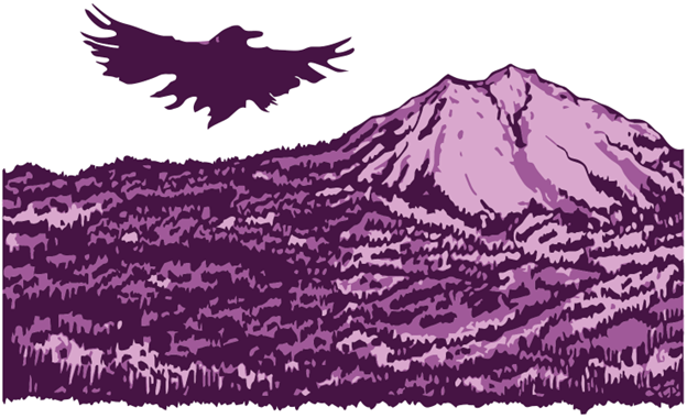 Sopris and Bird in Purple,
Commission for Aspen Skiing Company Environment Foundation
2026
Lisa DeLosso © all rights reserved