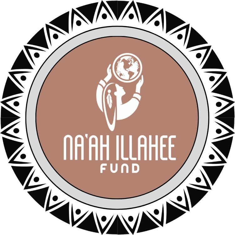 NEWNIFLogoDesign.New.jpg