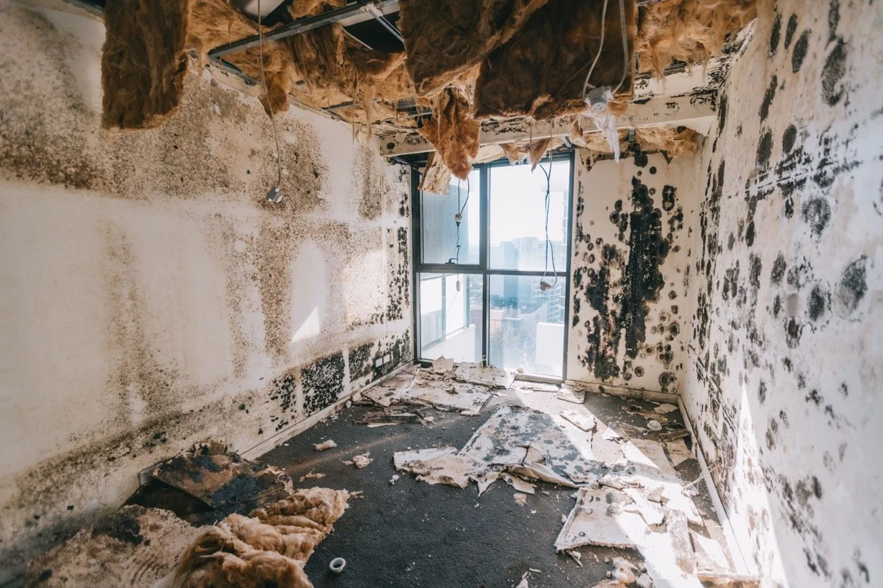 BXD_Mould Job_Day 1 Selects-52 Large.jpeg