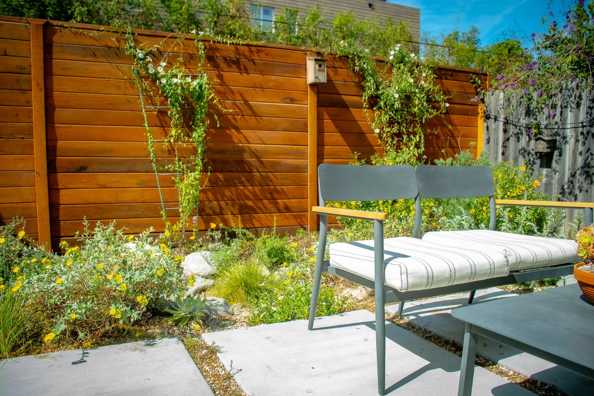 Year One: Contemporary furniture creates a contrast between the wild garden and the poured concrete patio.