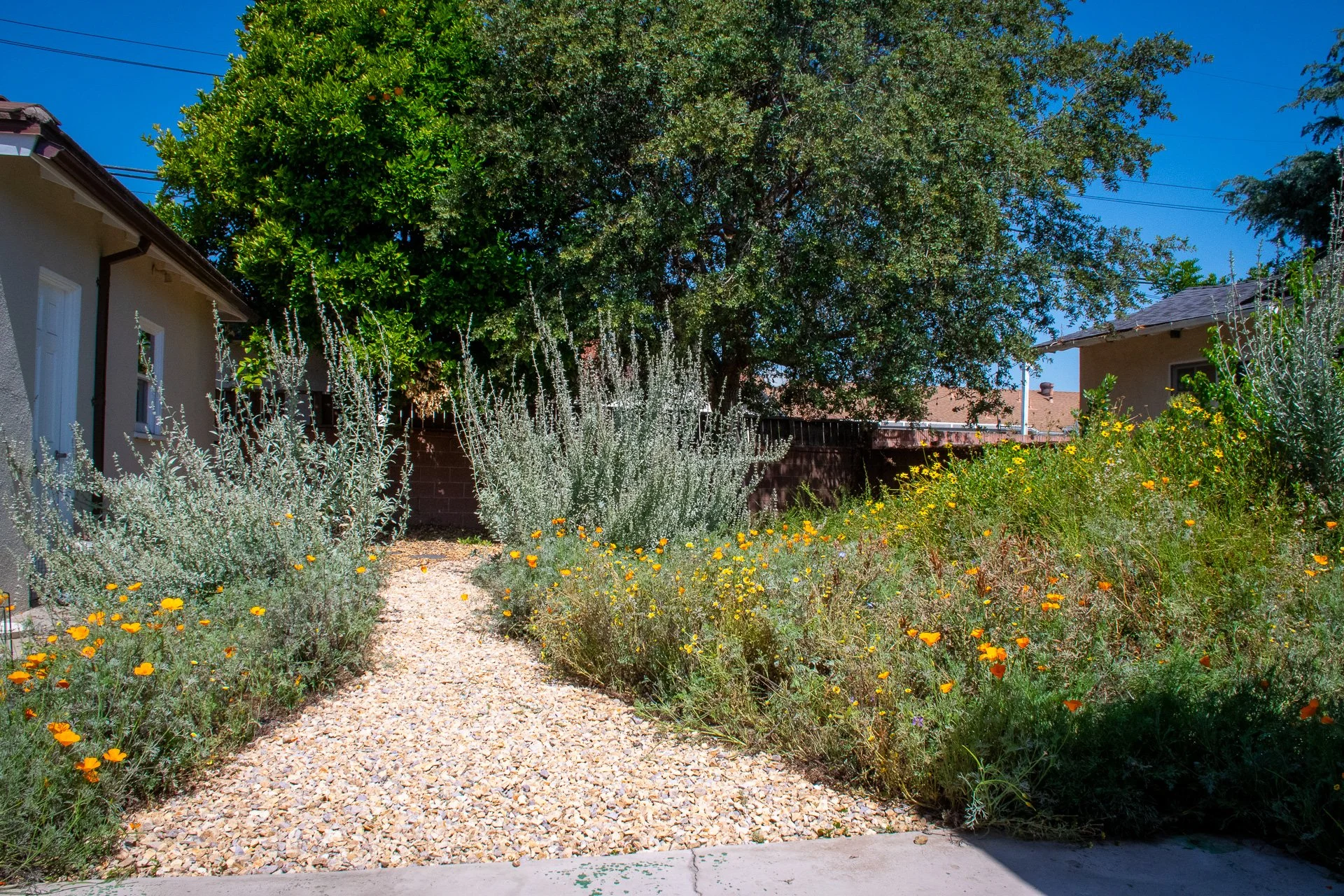 DSC_7503.jpg