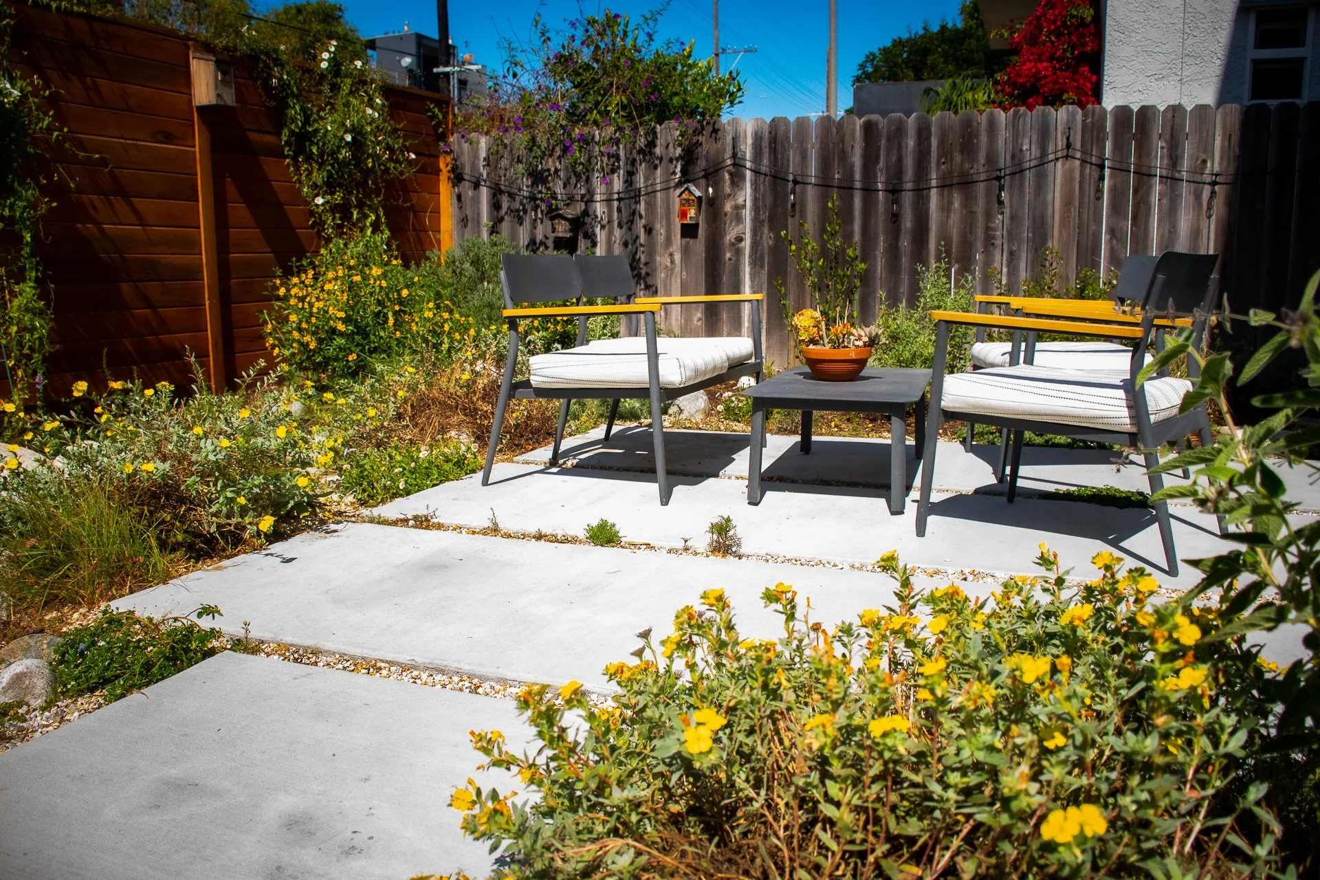 Year One: The client asked for a space for entertaining; we feel this is much more attractive than the traditional patioscapes of the area.
