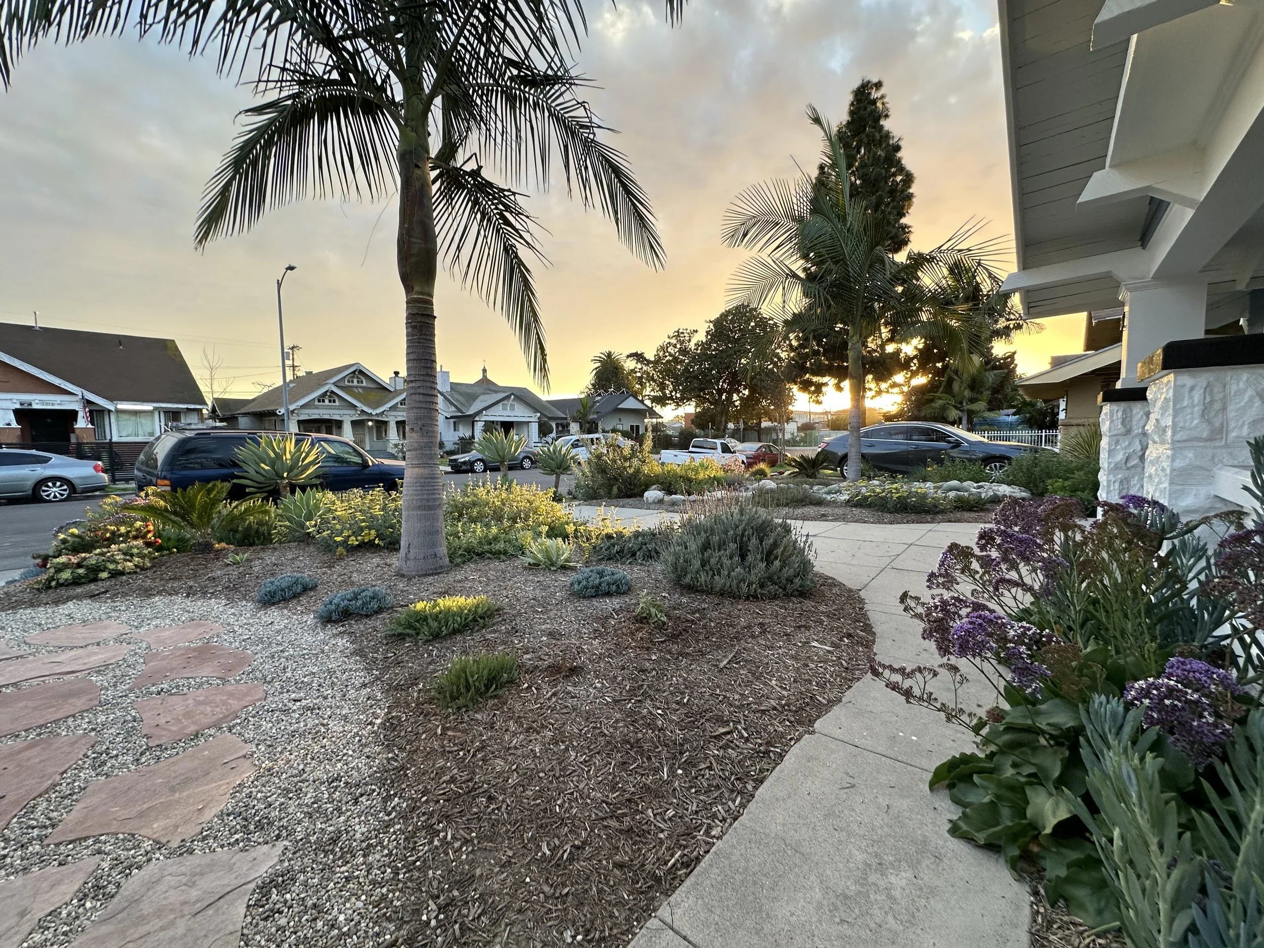 IMG_1131.jpeg