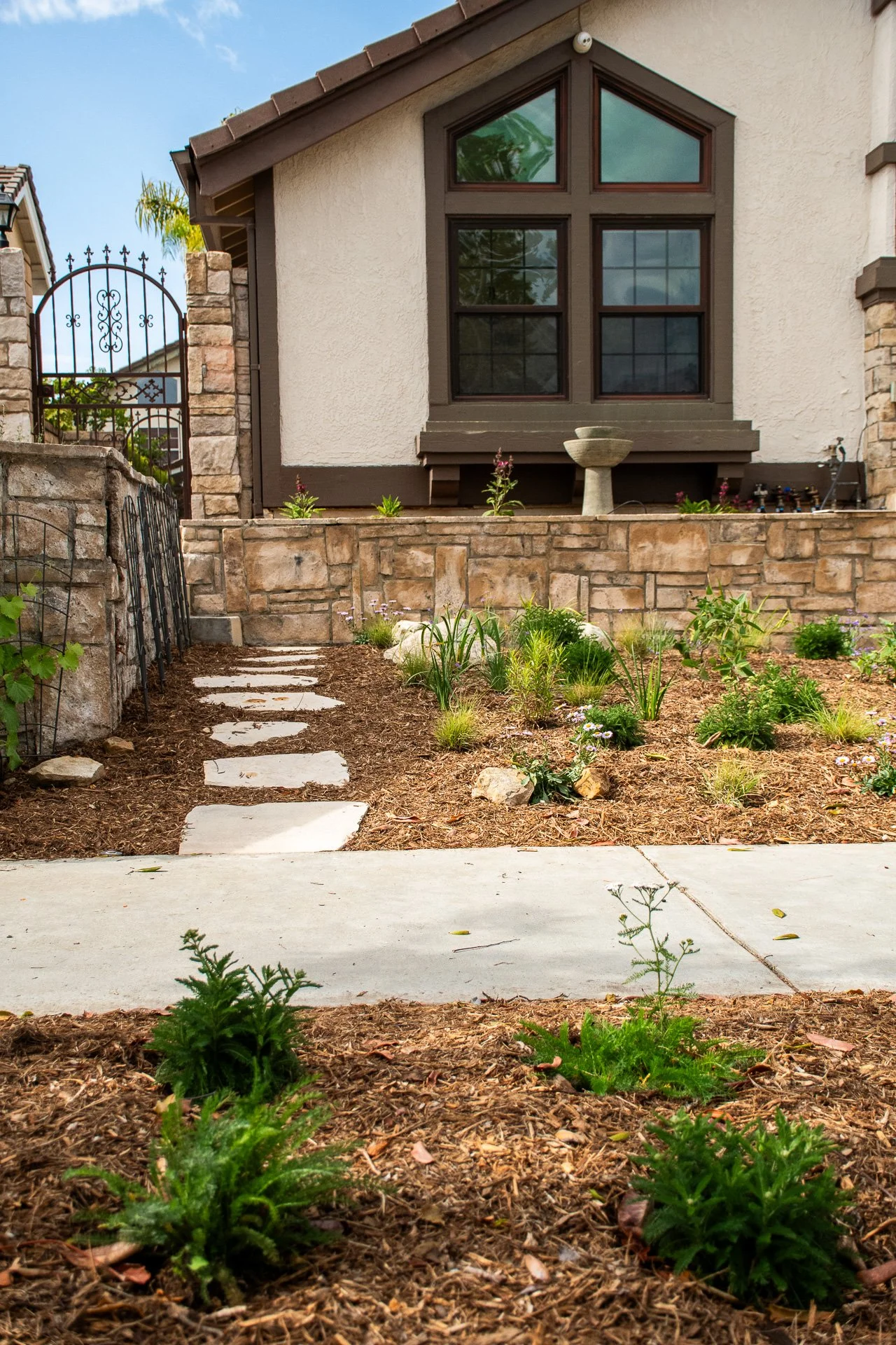 Day One: A small path was installed for the mail person to be able to walk up the side walk without trampling the plants.