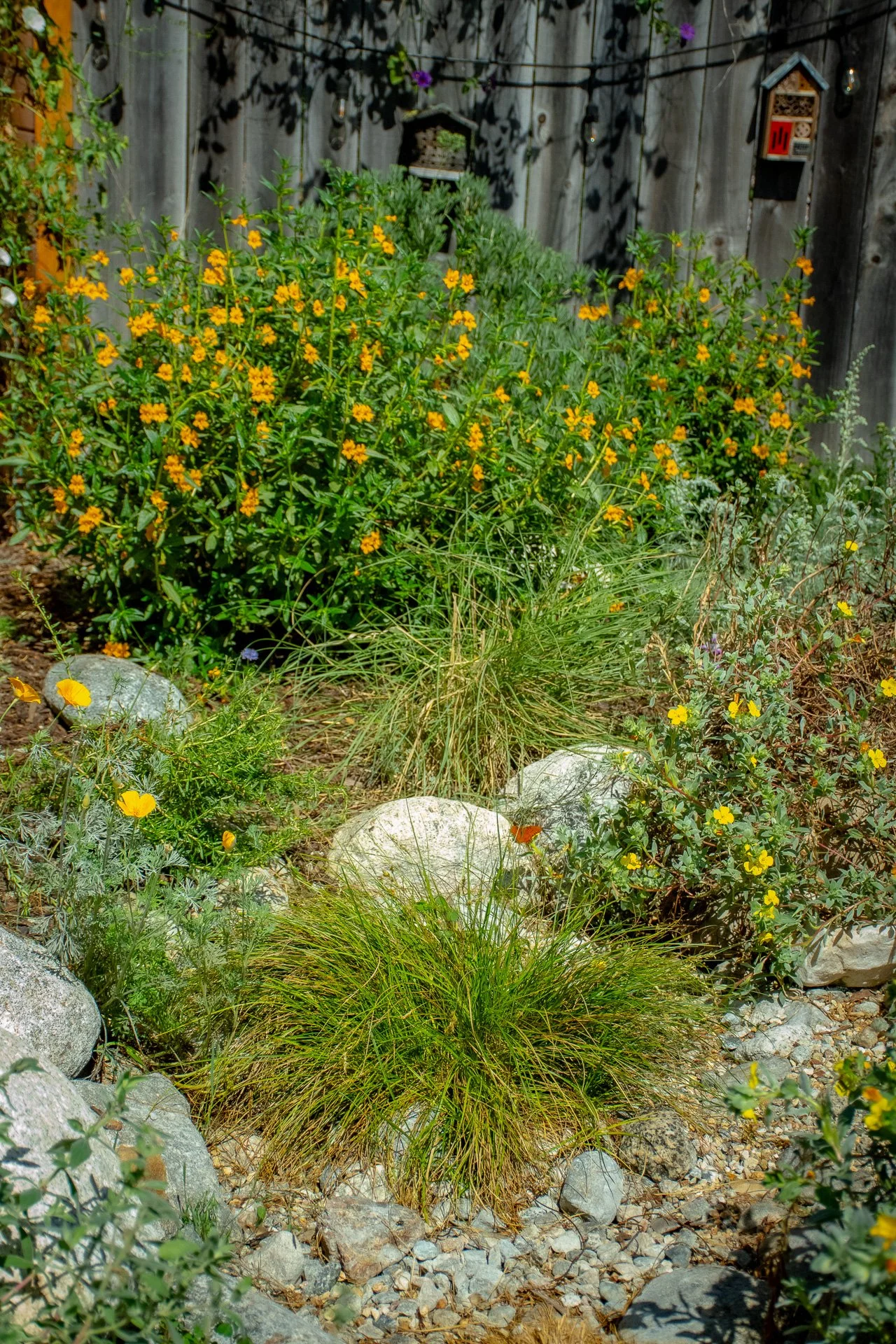 DSC_7208.jpg