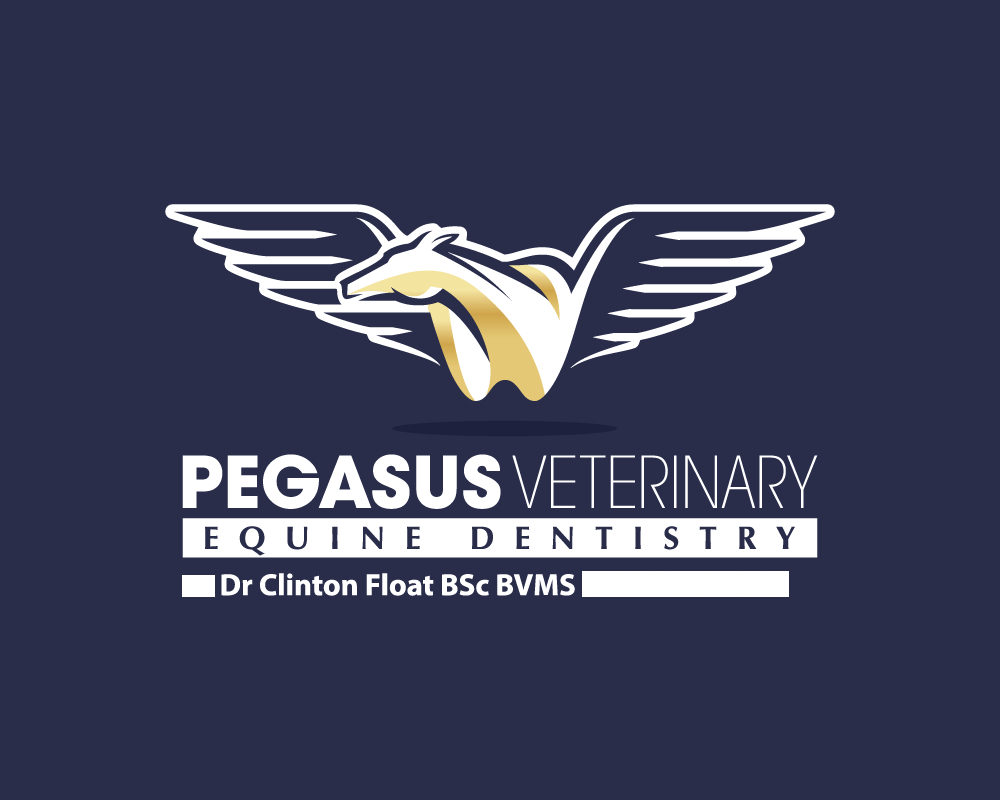 Pegasus  Veterinary Equine Dentistry 